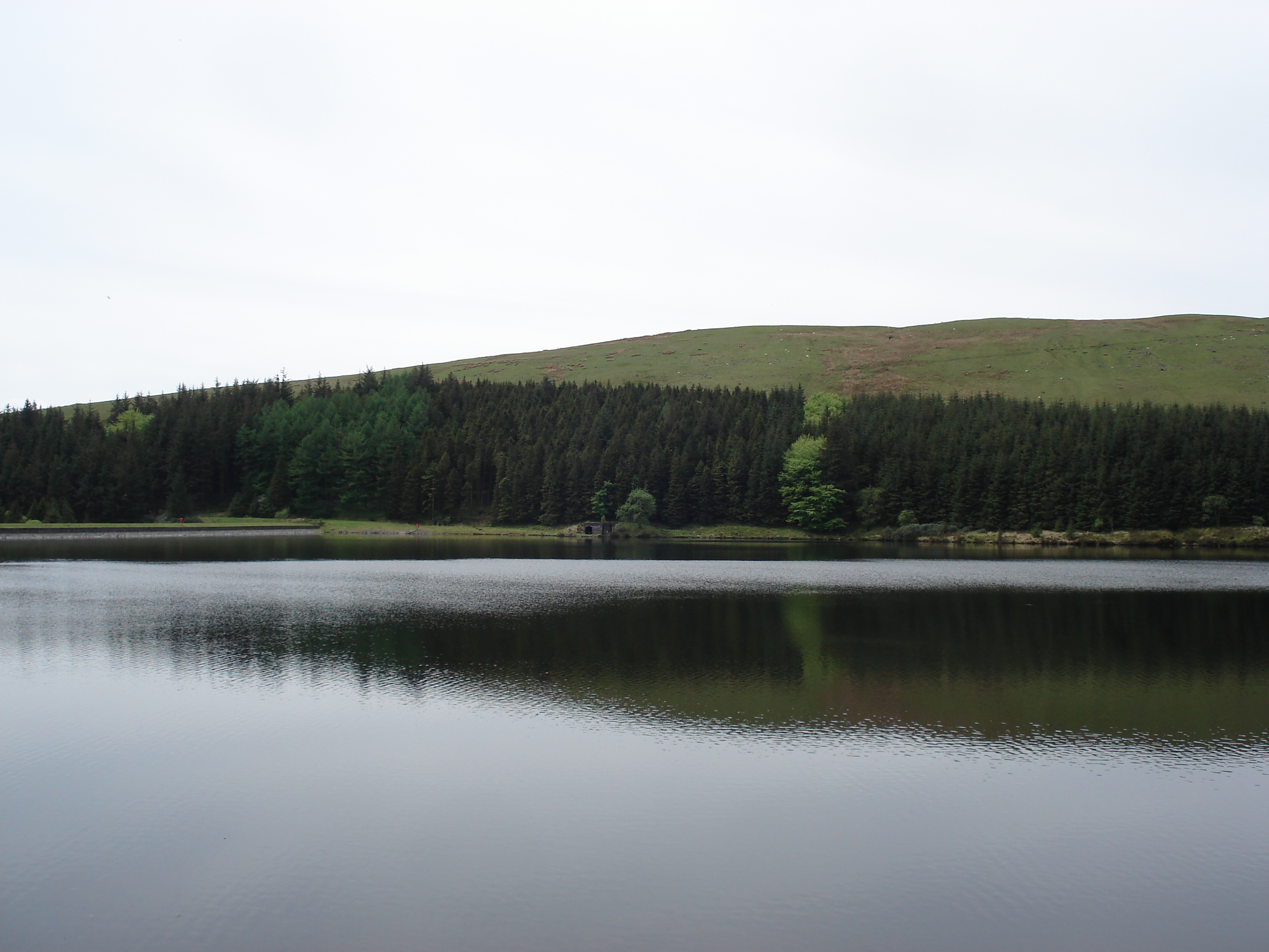 Picture United Kingdom Brecon Beacons National Parc 2006-05 66 - Around Brecon Beacons National Parc