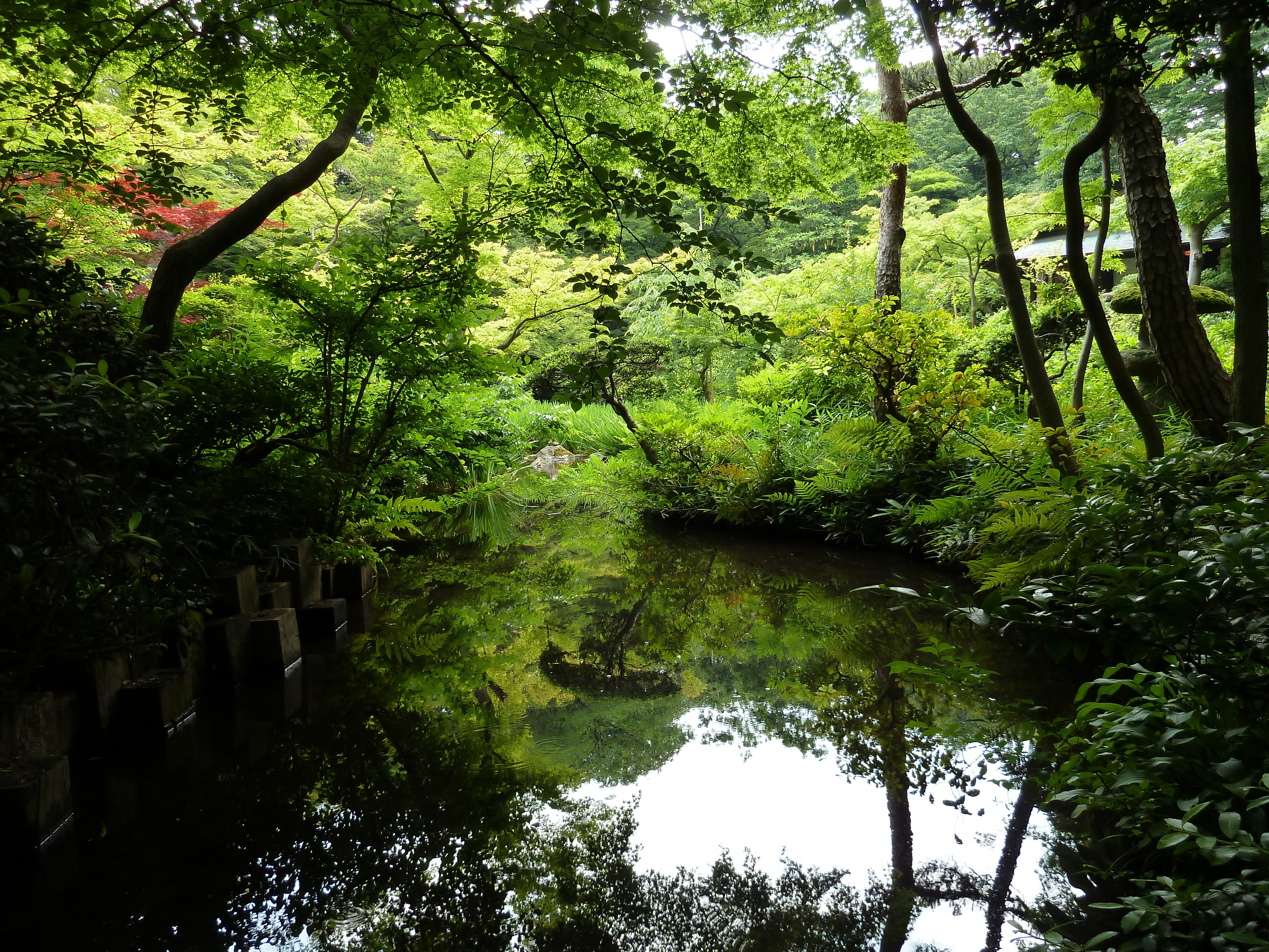 Picture Japan Tokyo Nezu Museum 2010-06 83 - Tours Nezu Museum