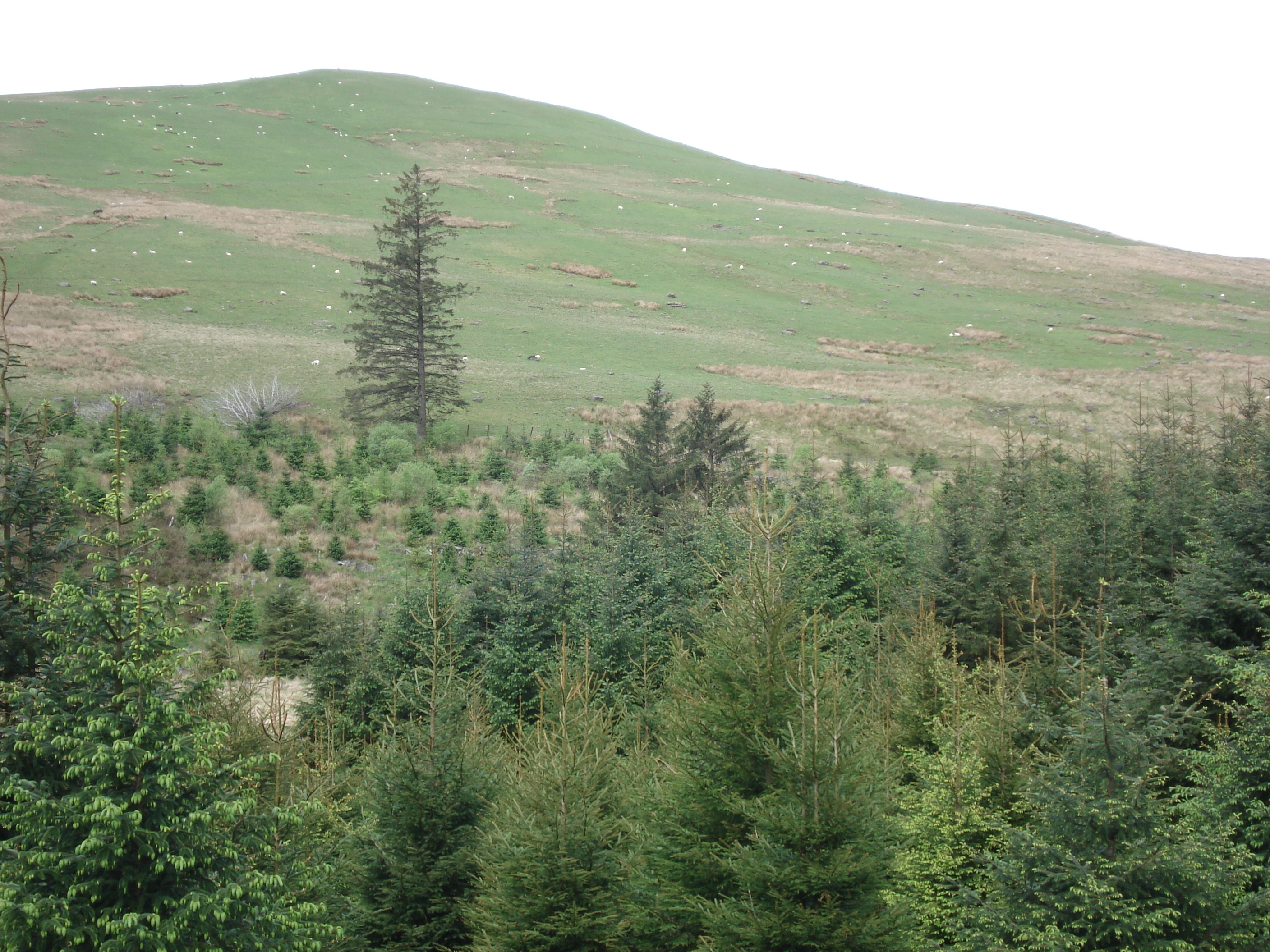 Picture United Kingdom Brecon Beacons National Parc 2006-05 94 - History Brecon Beacons National Parc