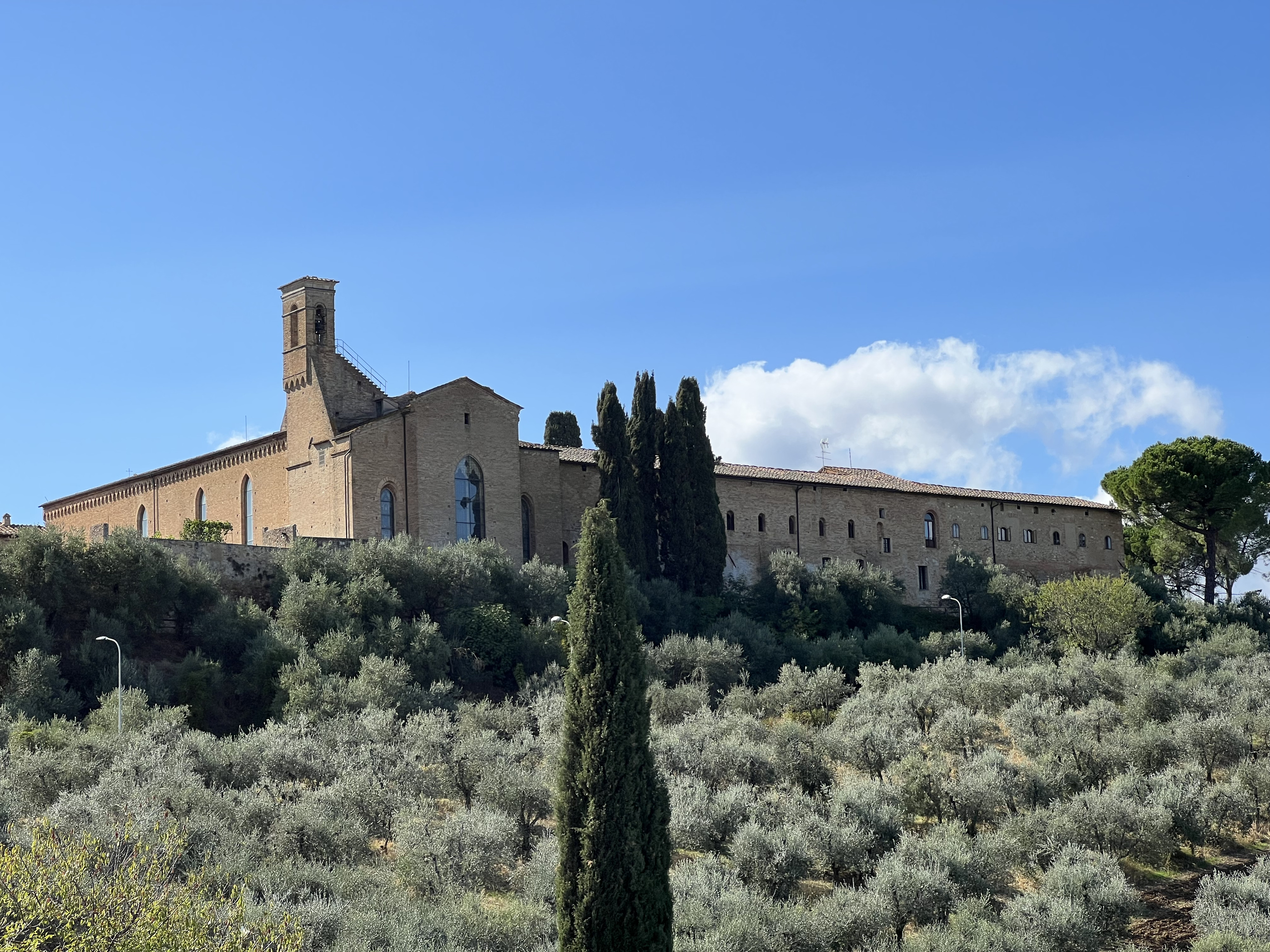 Picture Italy San Gimignano 2021-09 130 - Journey San Gimignano