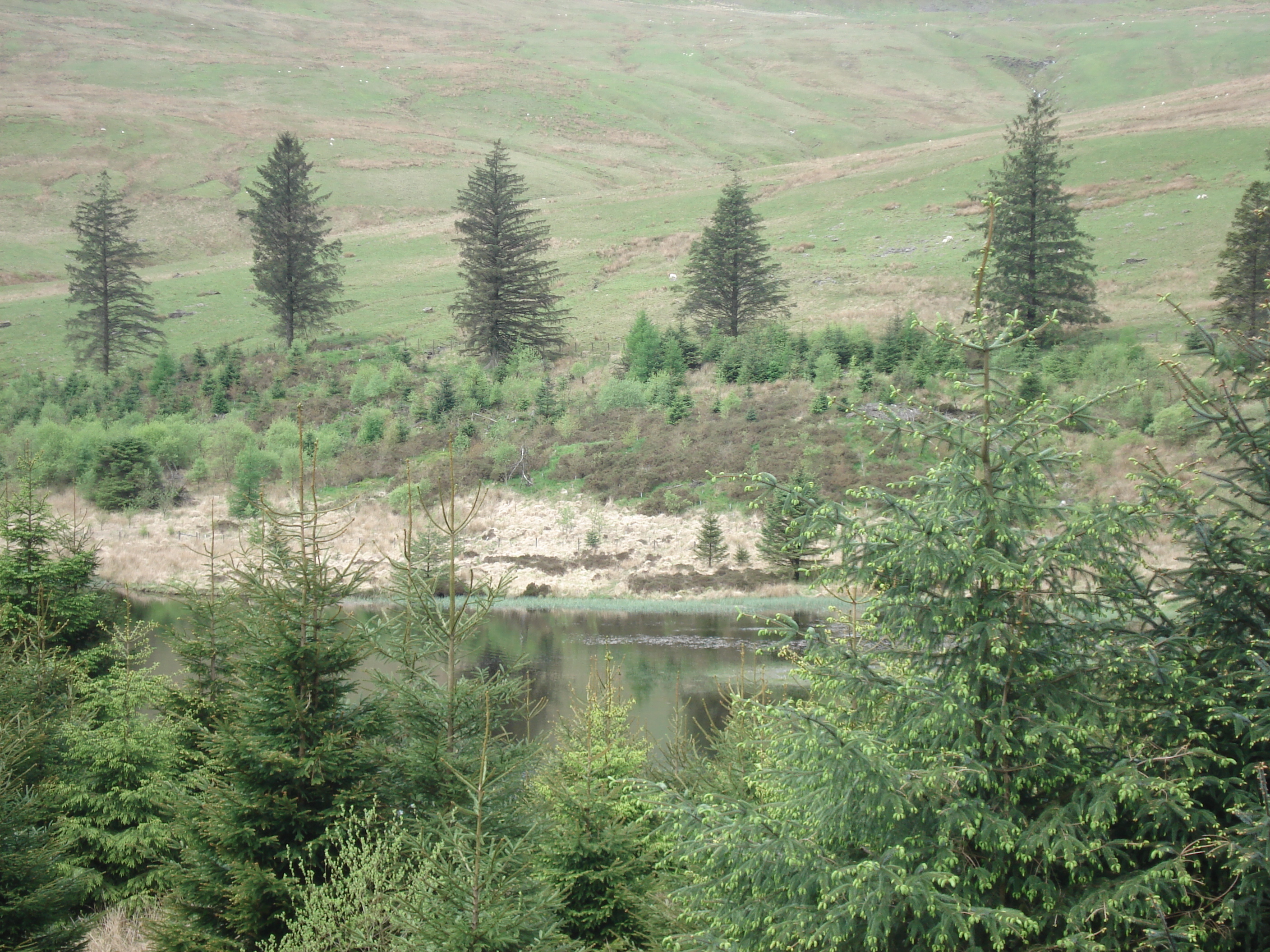 Picture United Kingdom Brecon Beacons National Parc 2006-05 95 - History Brecon Beacons National Parc