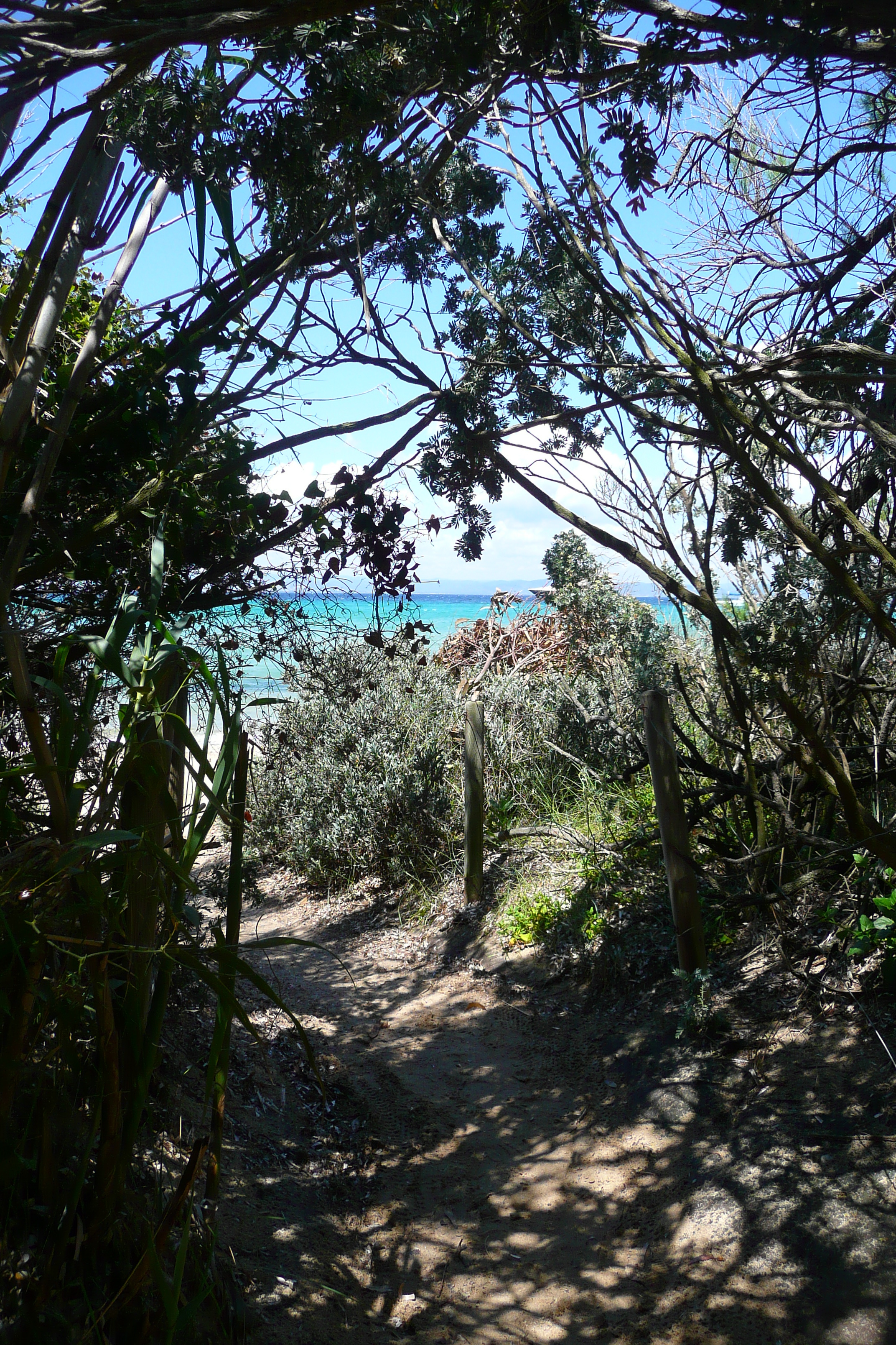 Picture France Porquerolles Island Courtade beach 2008-05 14 - Journey Courtade beach