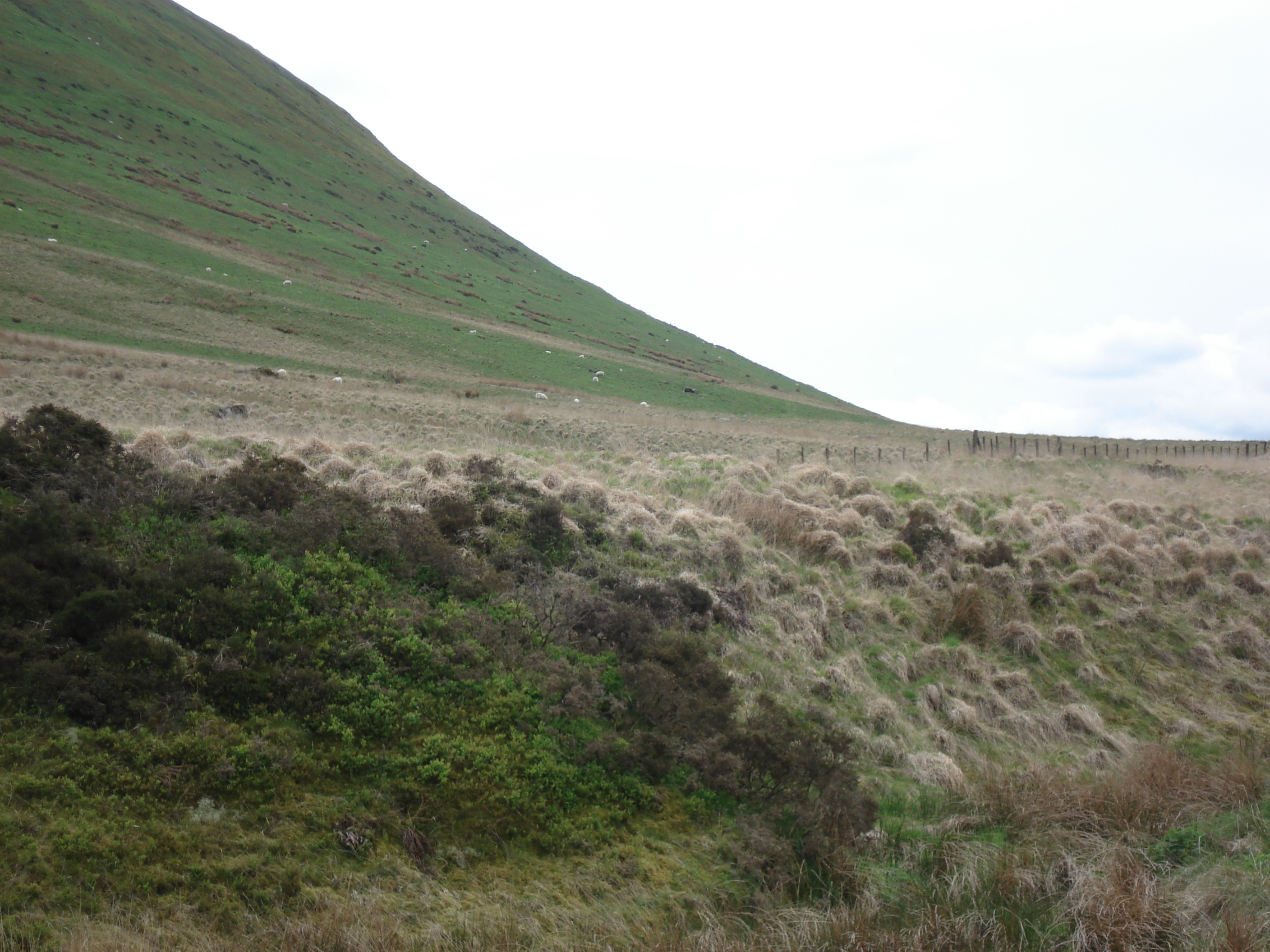 Picture United Kingdom Brecon Beacons National Parc 2006-05 82 - Tour Brecon Beacons National Parc