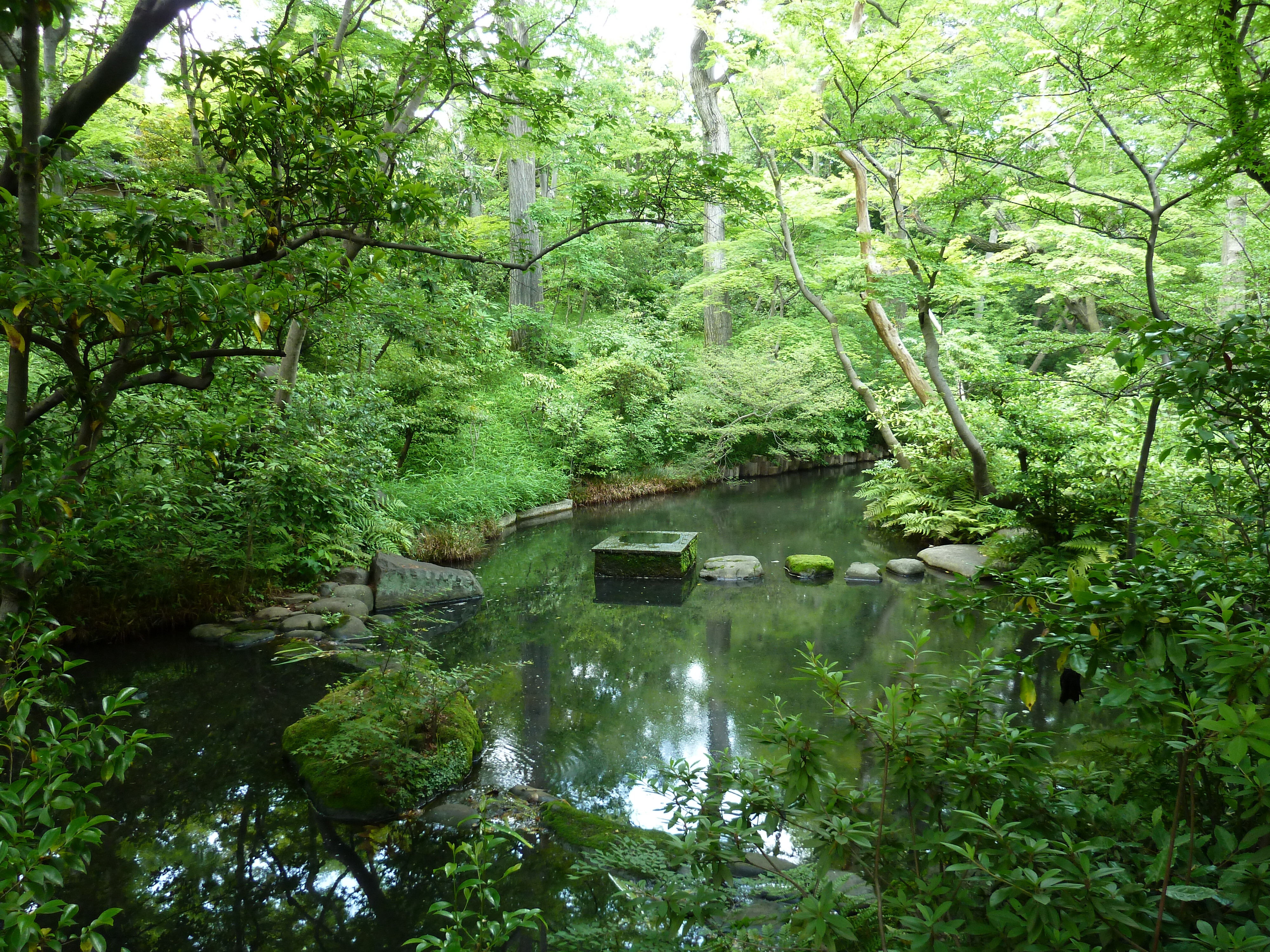 Picture Japan Tokyo Nezu Museum 2010-06 101 - Discovery Nezu Museum