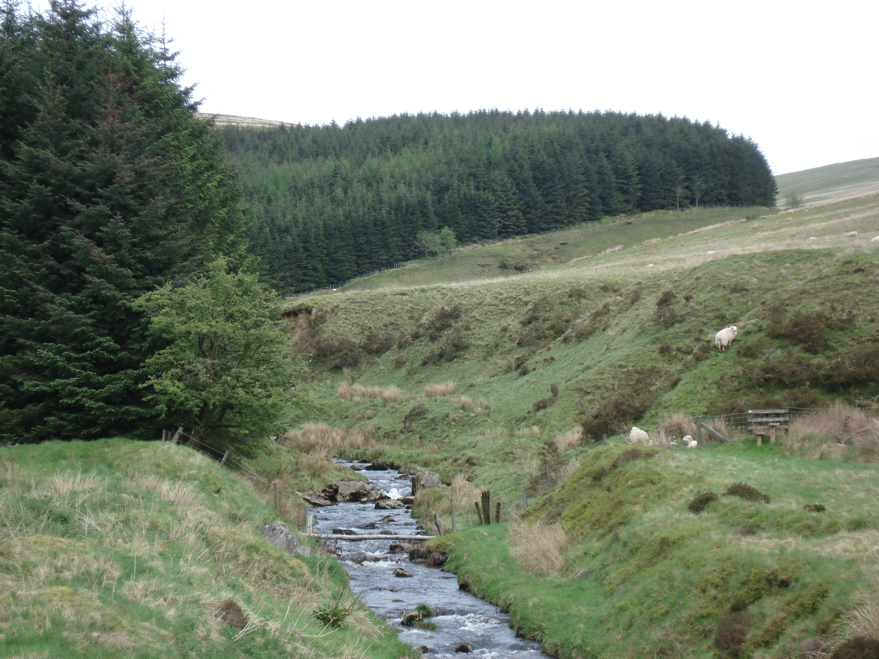 Picture United Kingdom Brecon Beacons National Parc 2006-05 79 - History Brecon Beacons National Parc