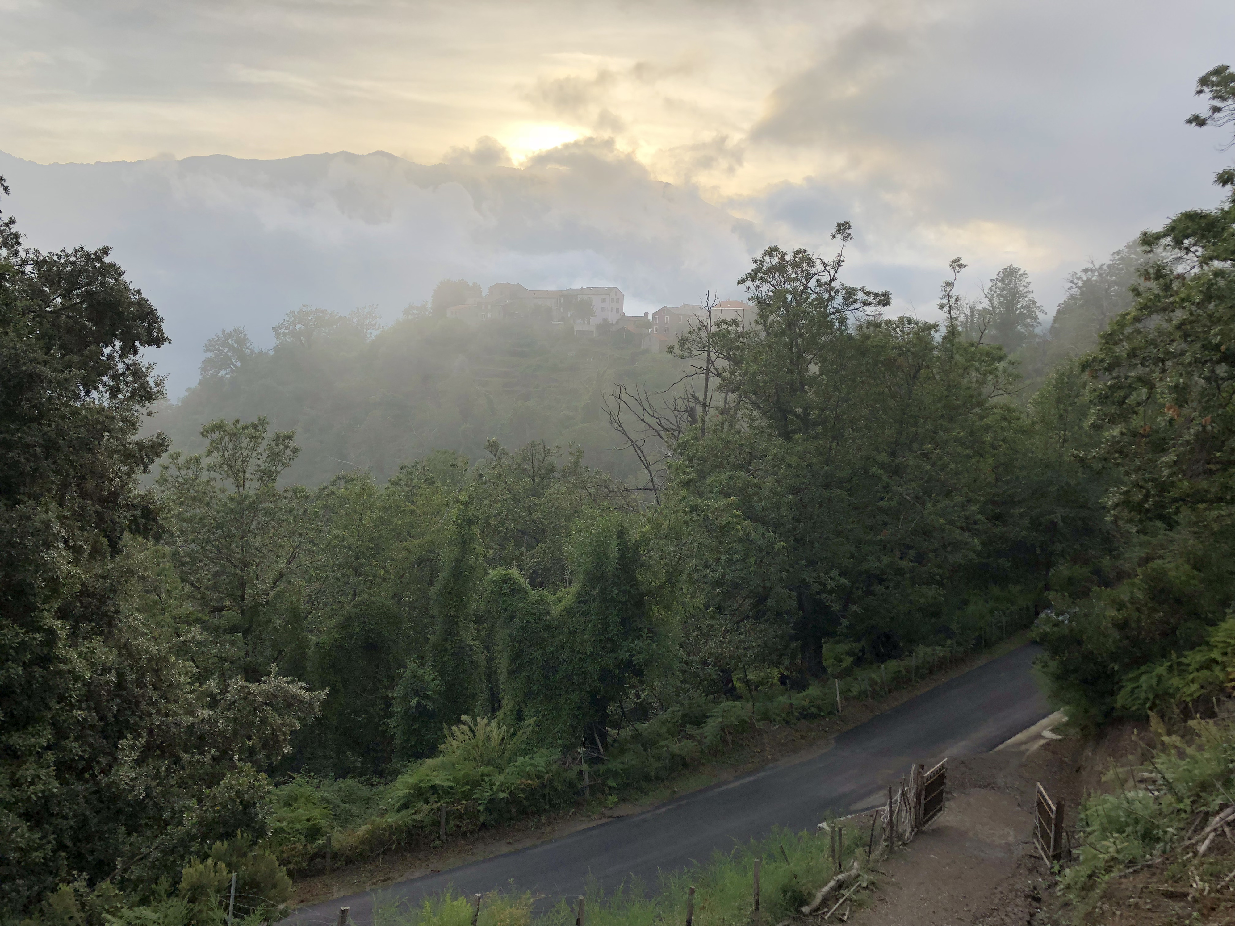 Picture France Corsica Felce 2018-09 2 - Journey Felce