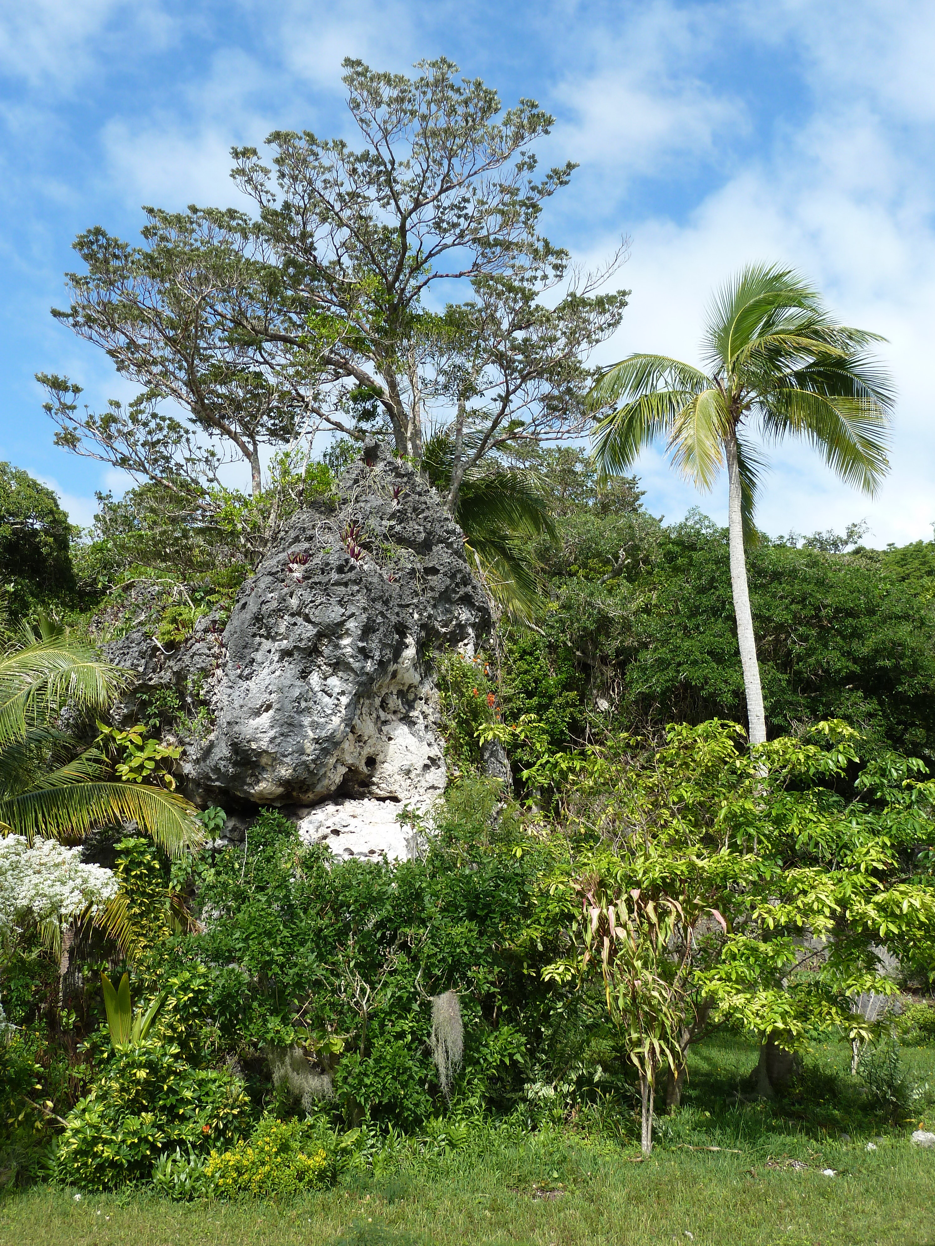 Picture New Caledonia Lifou Josip 2010-05 18 - Journey Josip