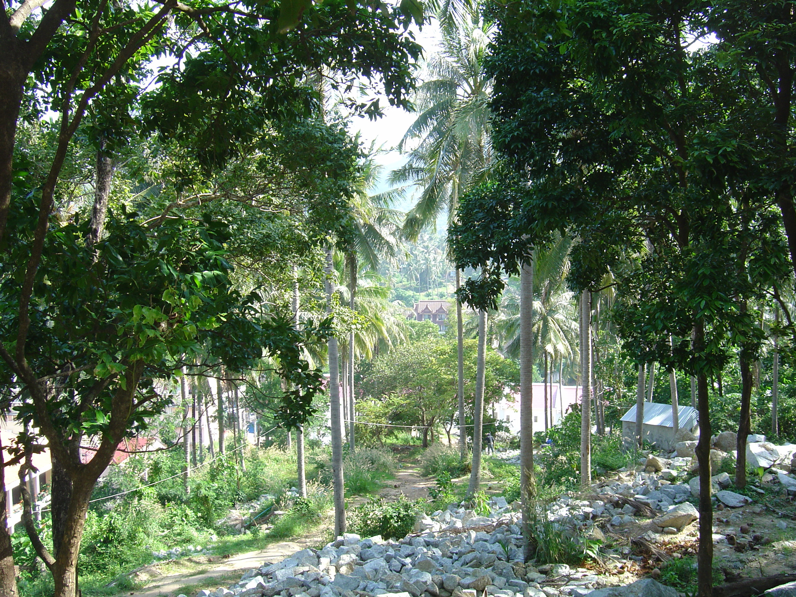 Picture Thailand Phuket Kata Karon 2005-12 54 - Journey Kata Karon