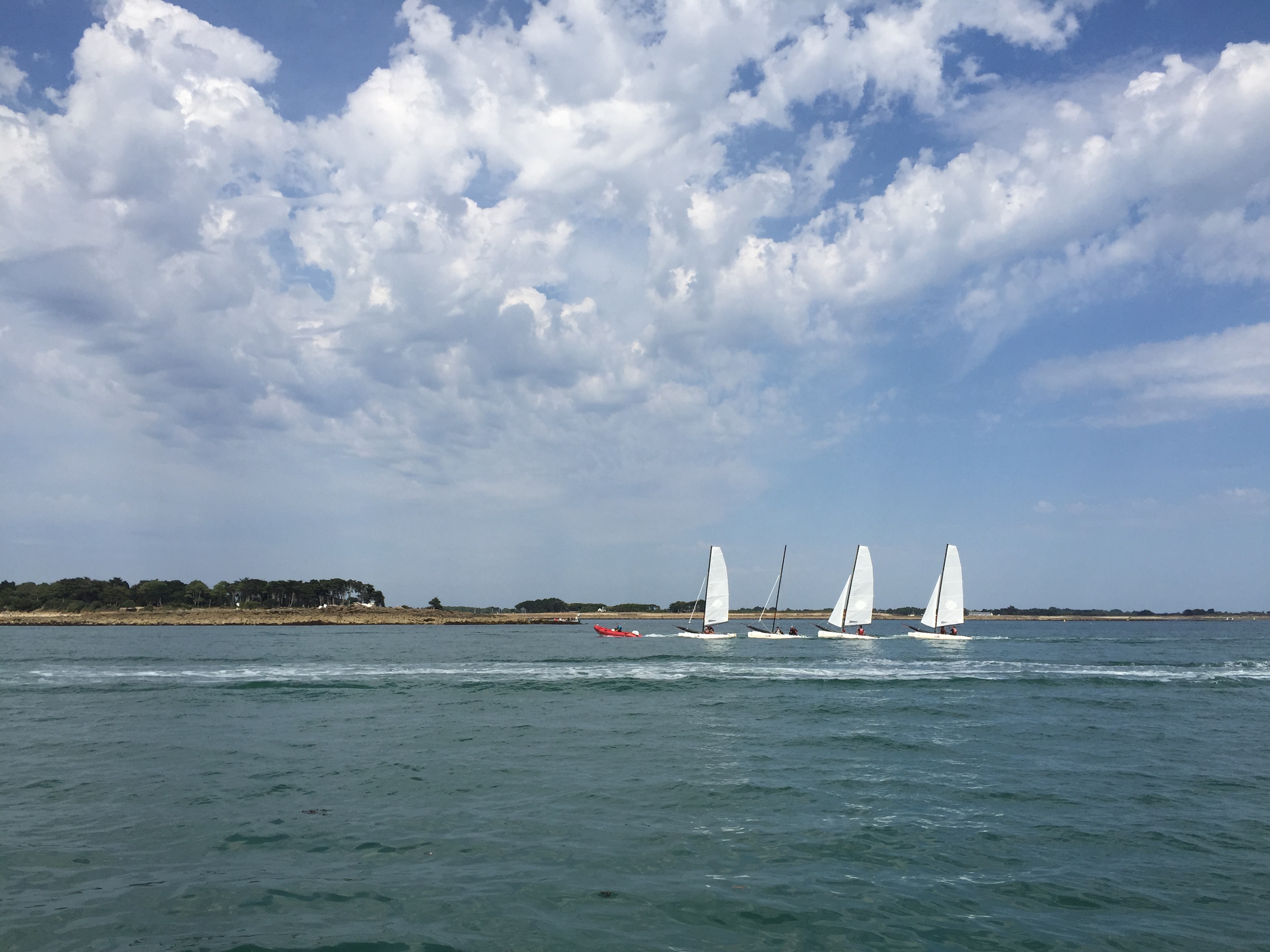 Picture France Golfe du Morbihan 2016-08 37 - Discovery Golfe du Morbihan