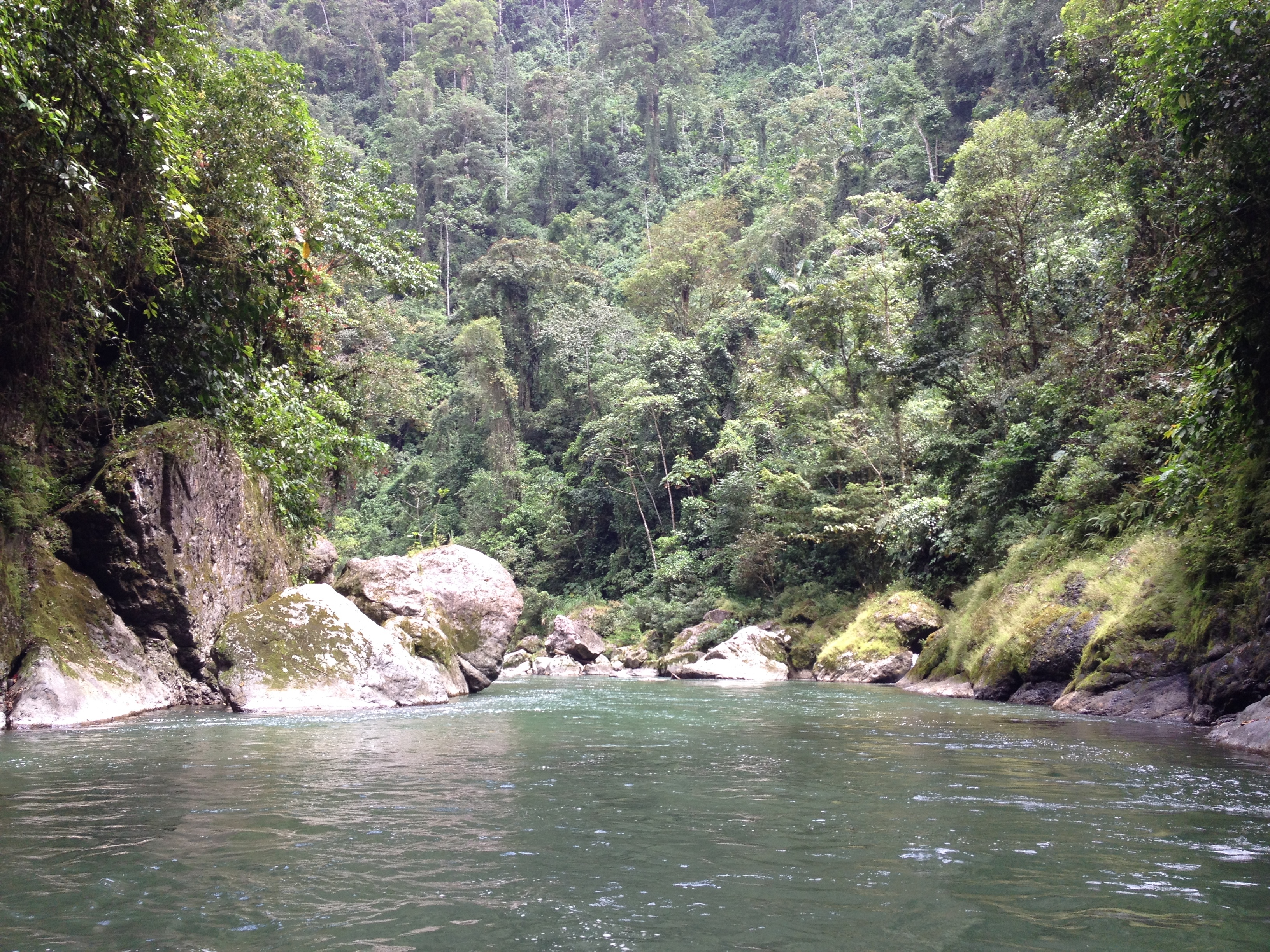 Picture Costa Rica Pacuare River 2015-03 131 - Tour Pacuare River