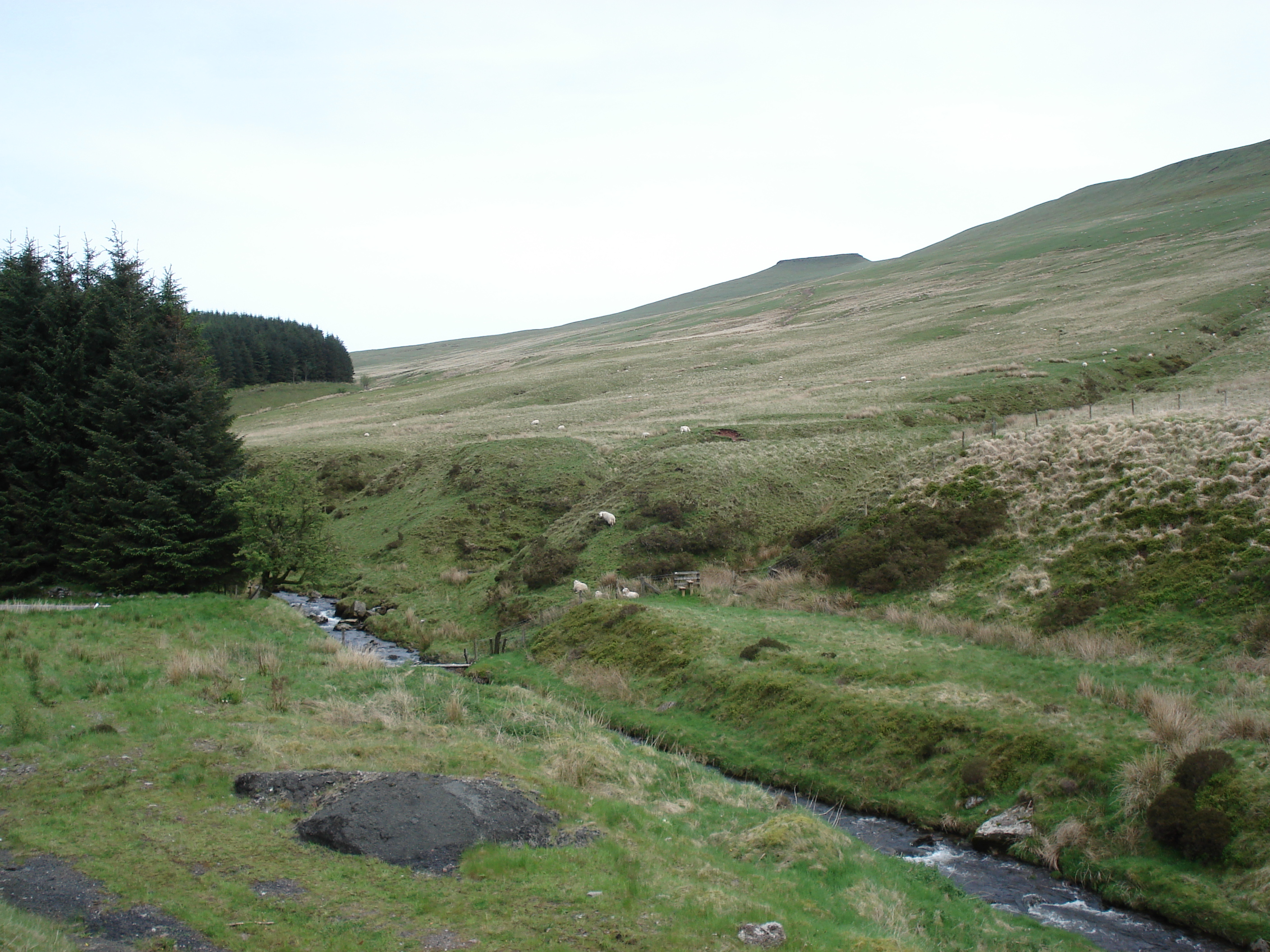 Picture United Kingdom Brecon Beacons National Parc 2006-05 59 - Around Brecon Beacons National Parc