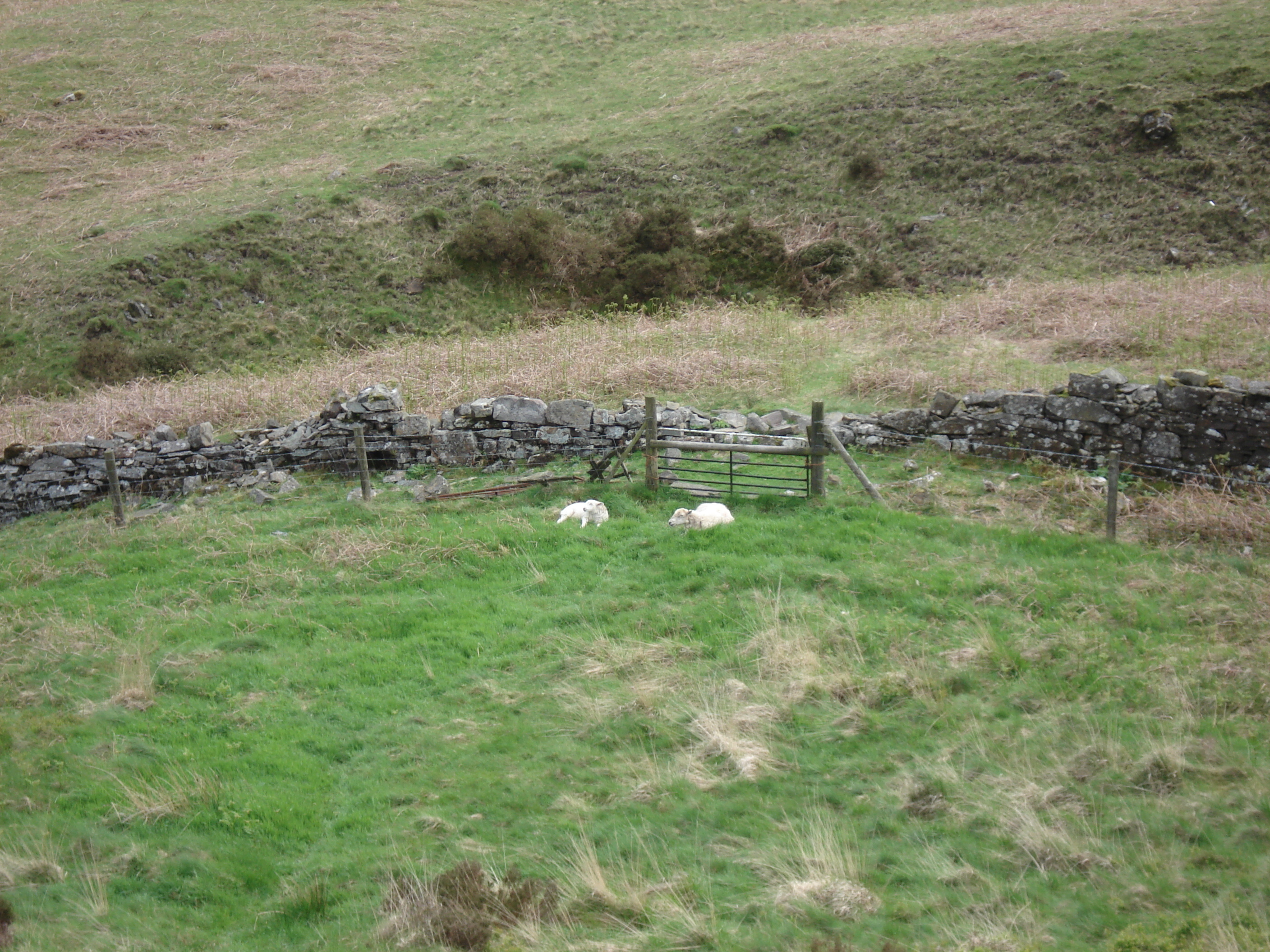 Picture United Kingdom Brecon Beacons National Parc 2006-05 32 - History Brecon Beacons National Parc