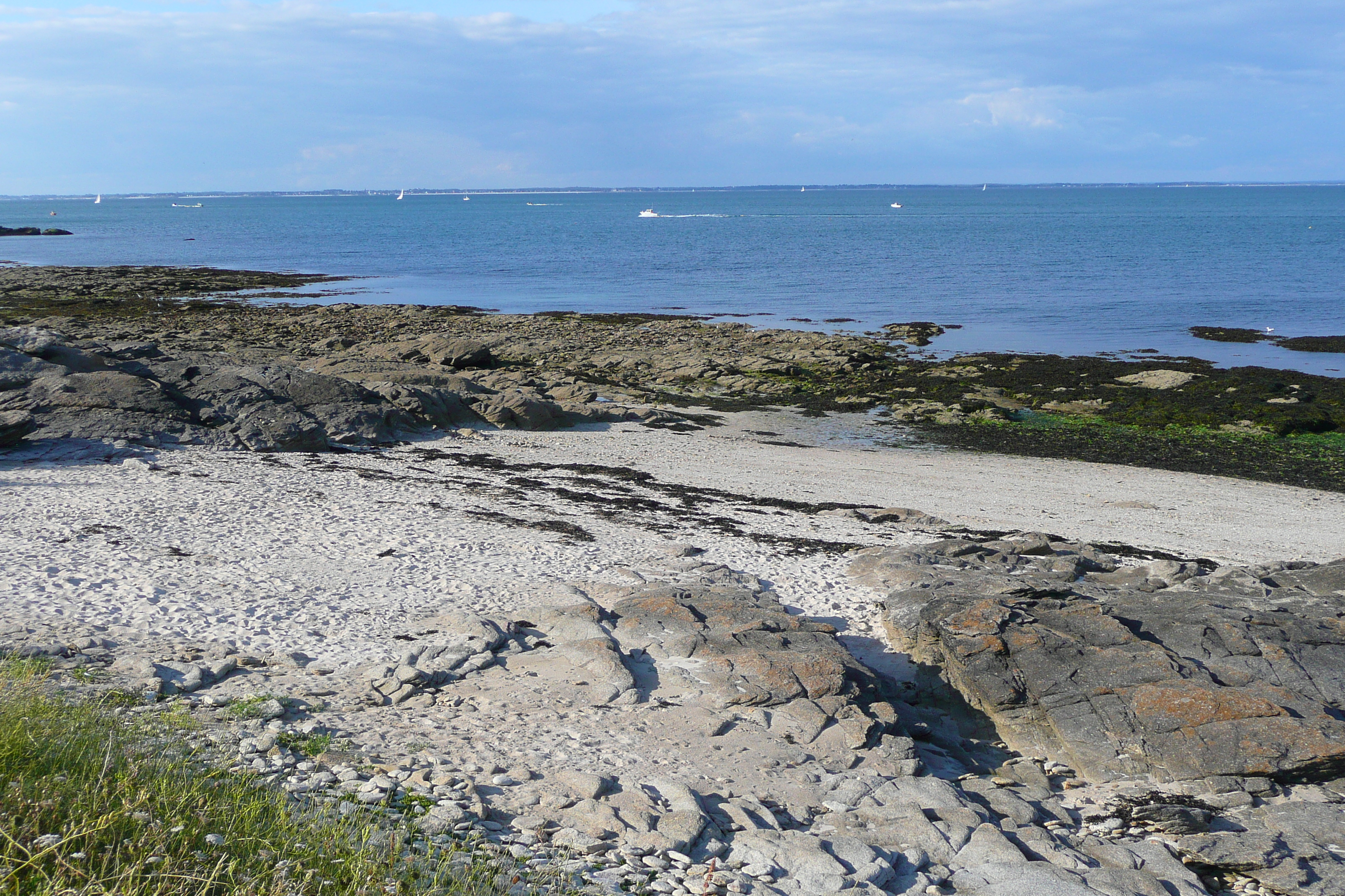 Picture France Quiberon peninsula Pointe du Conguel 2008-07 34 - Discovery Pointe du Conguel