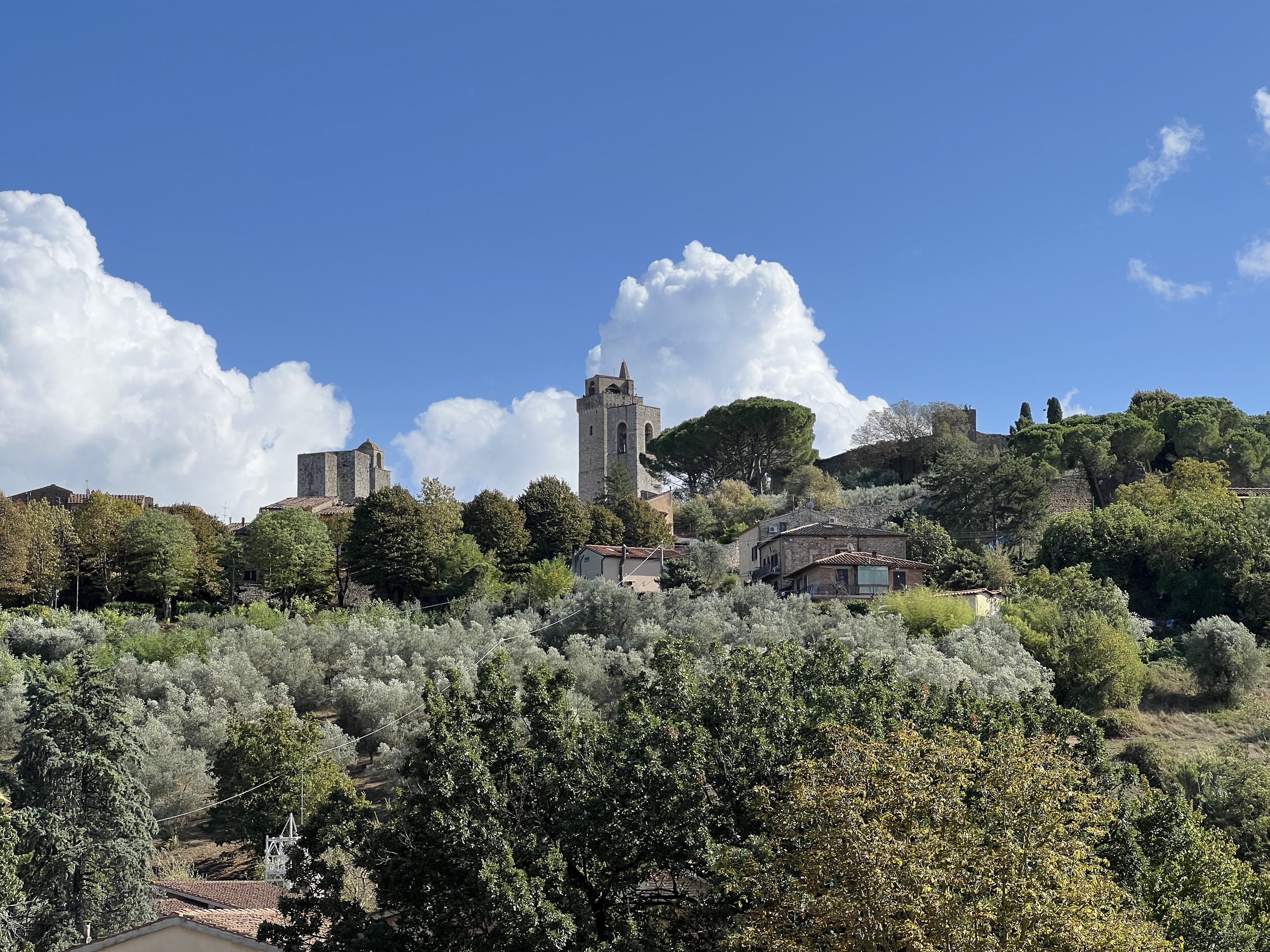 Picture Italy San Gimignano 2021-09 151 - Tour San Gimignano