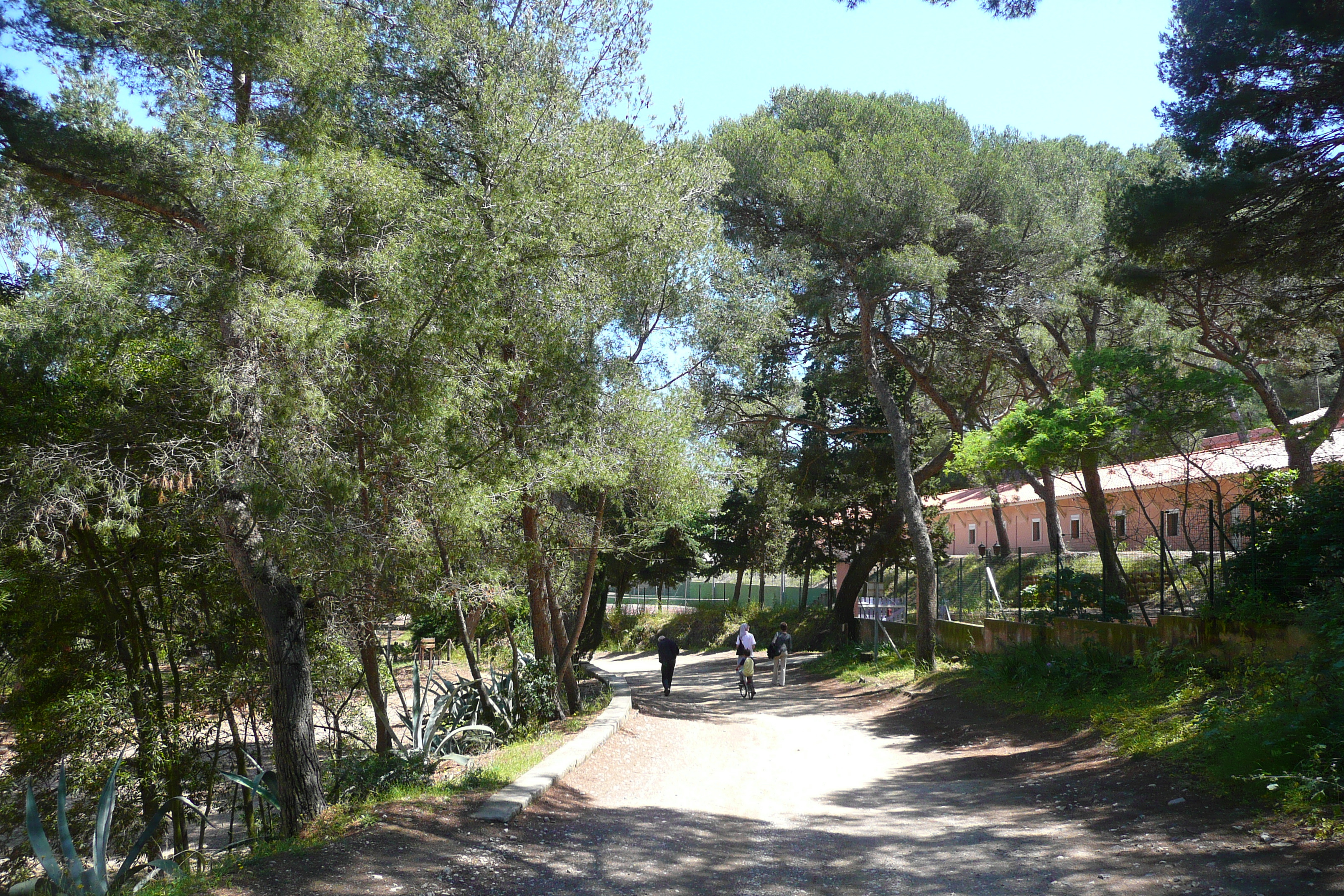 Picture France Porquerolles Island Pointe Bearlieu 2008-05 16 - Center Pointe Bearlieu