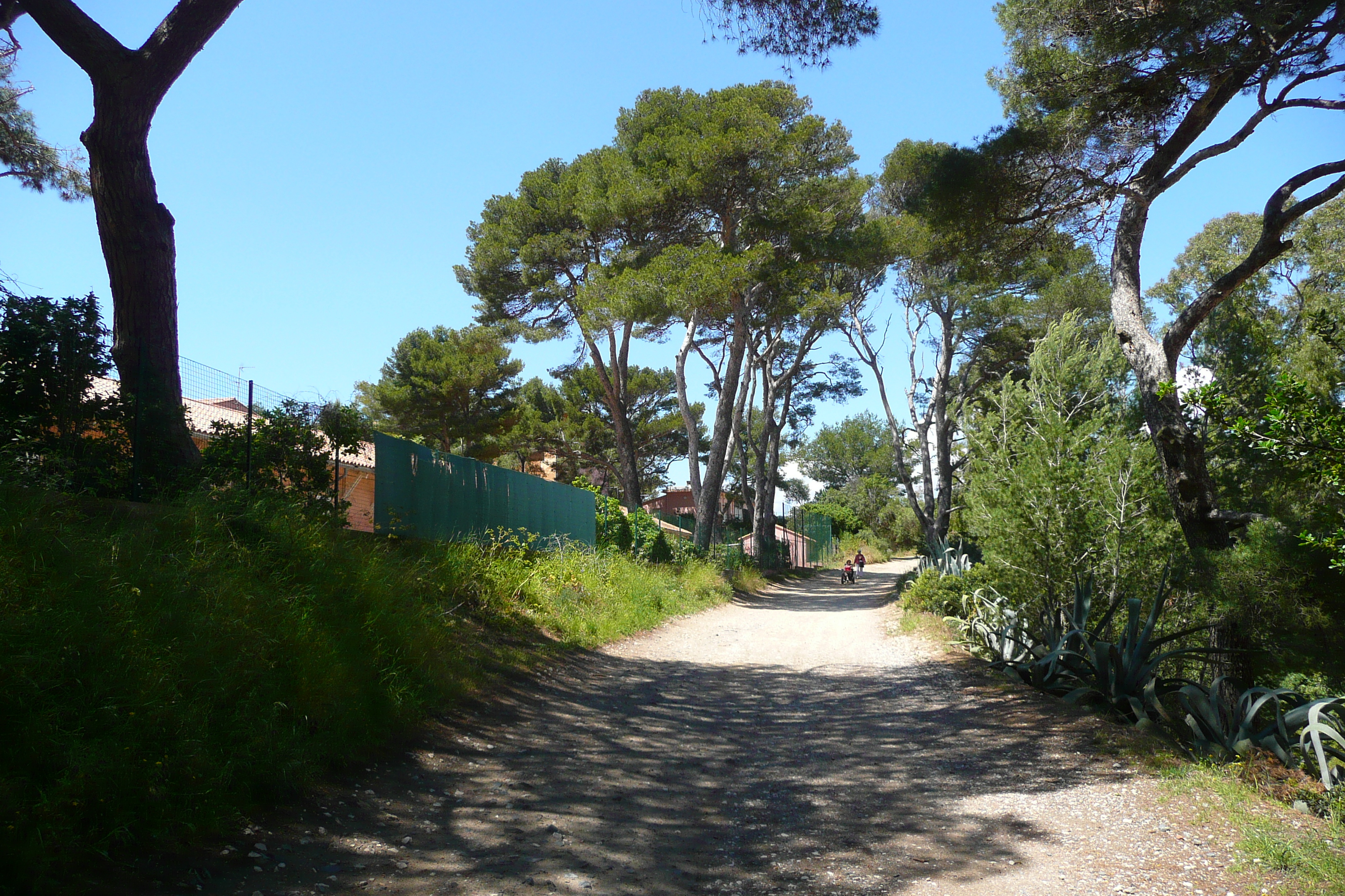 Picture France Porquerolles Island Pointe Bearlieu 2008-05 14 - Recreation Pointe Bearlieu