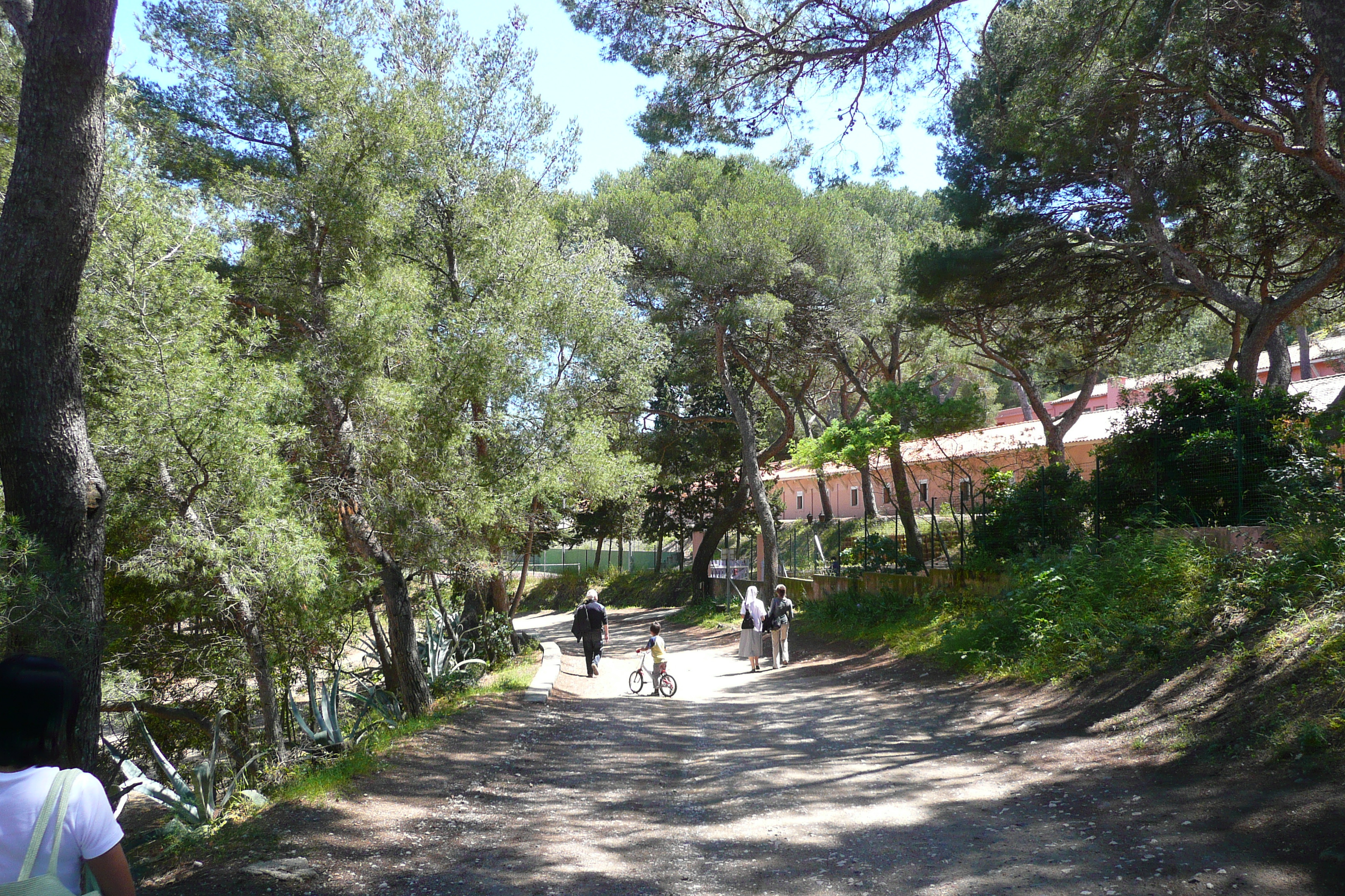 Picture France Porquerolles Island Pointe Bearlieu 2008-05 15 - Around Pointe Bearlieu