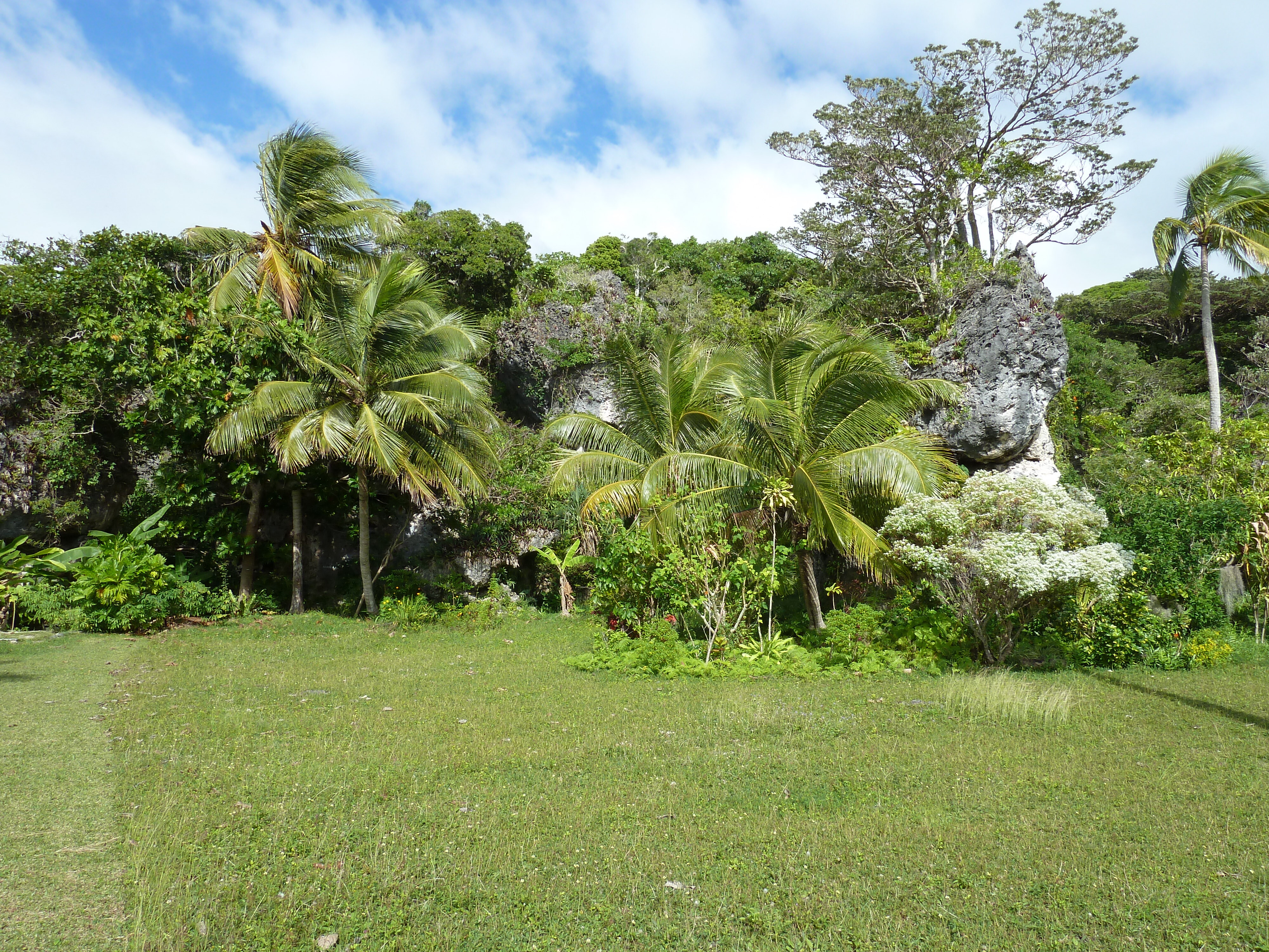 Picture New Caledonia Lifou Josip 2010-05 14 - Center Josip