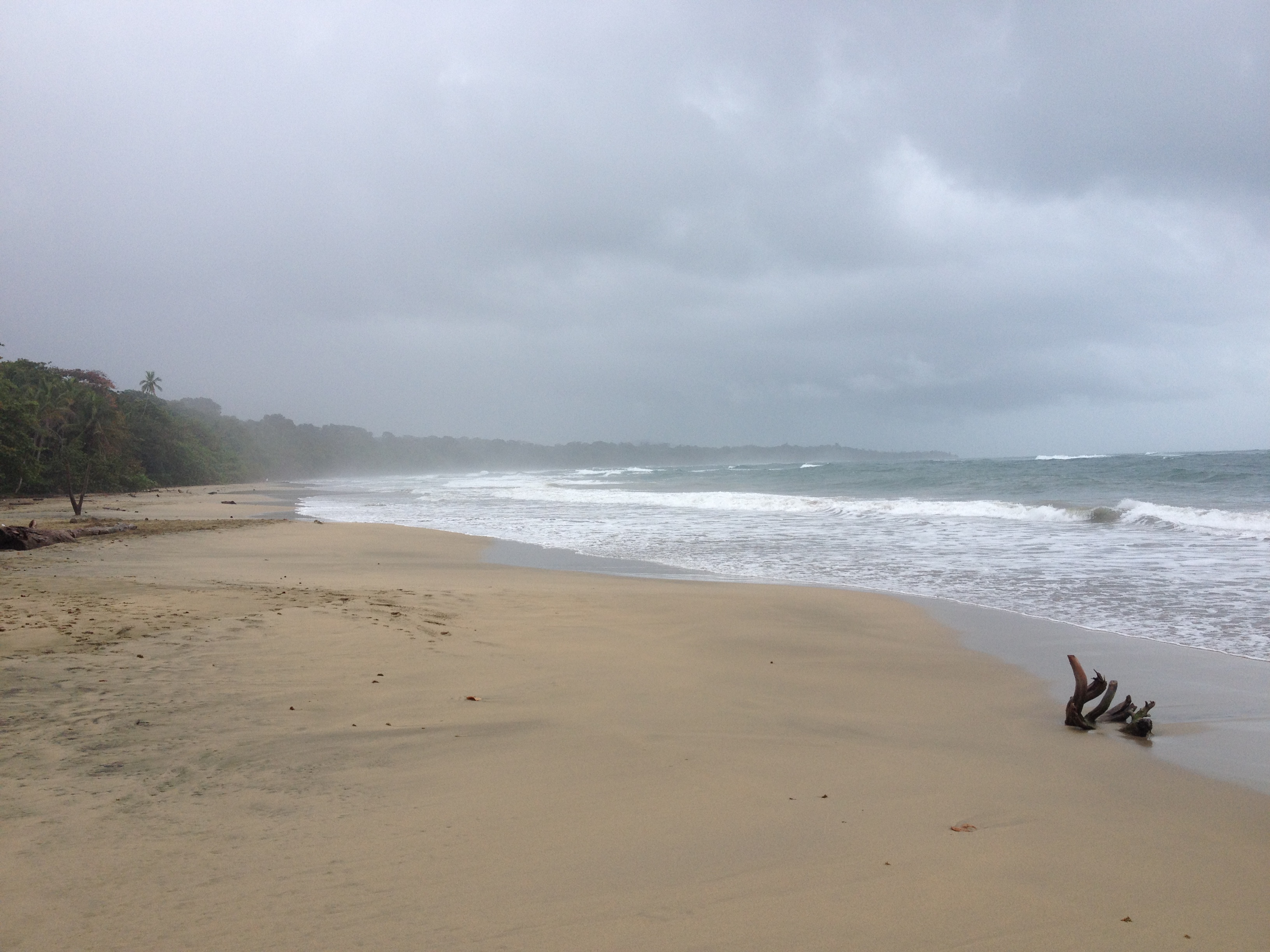 Picture Costa Rica Puerto Viejo de Talamanca 2015-03 71 - History Puerto Viejo de Talamanca