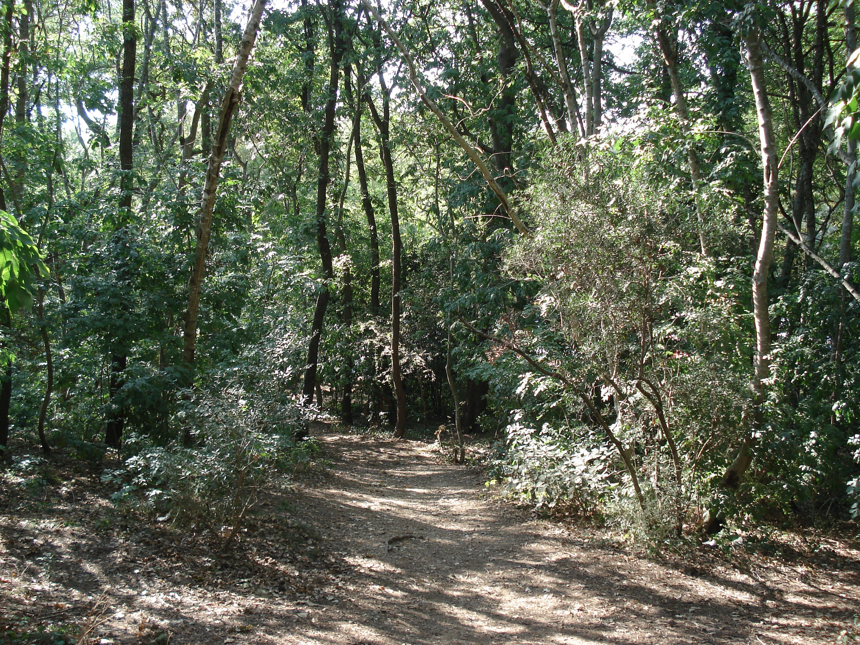 Picture France Villeneuve Loubet Parc de Vaugrenier 2006-09 19 - Journey Parc de Vaugrenier