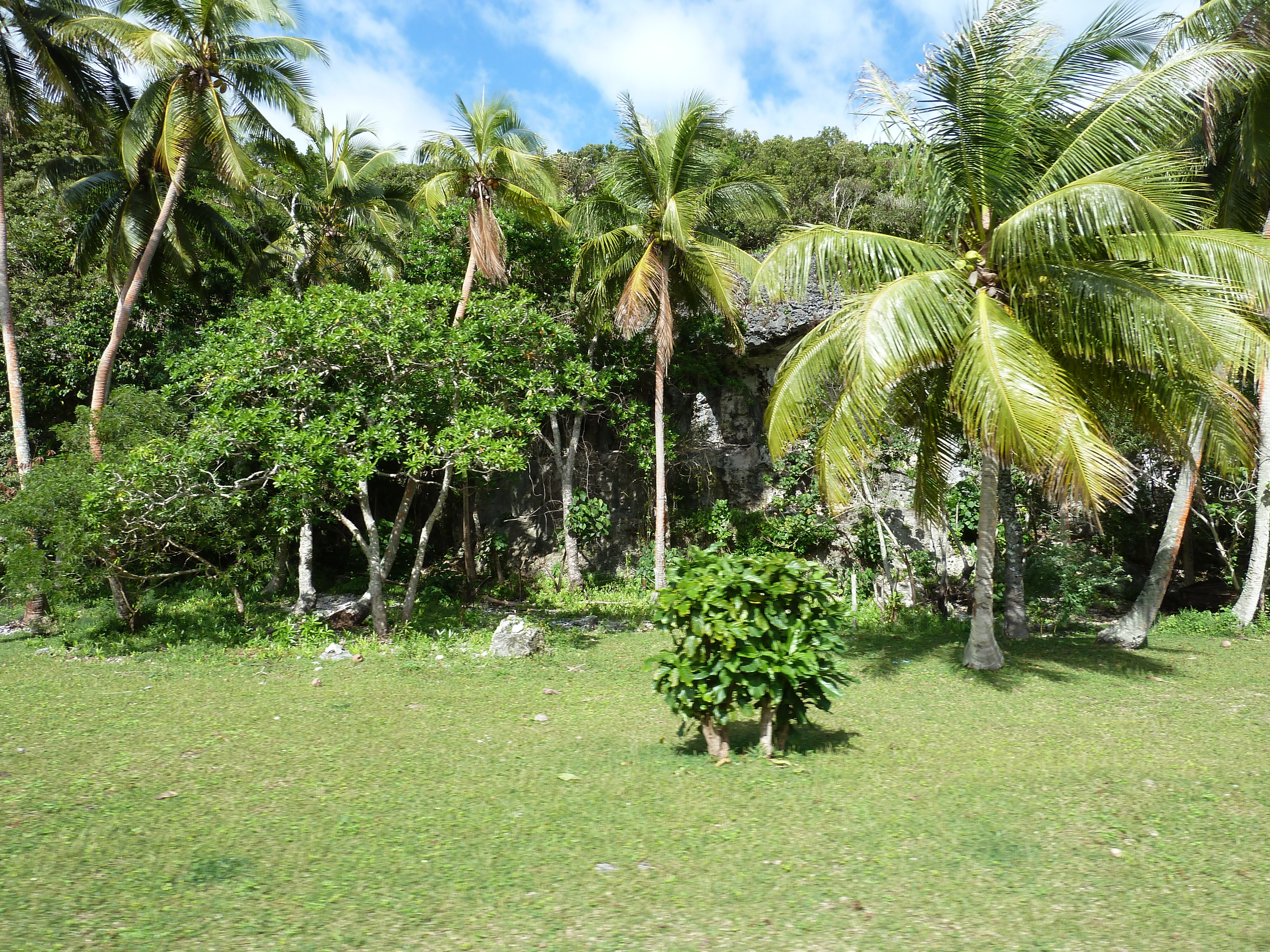 Picture New Caledonia Lifou Josip 2010-05 0 - Tour Josip