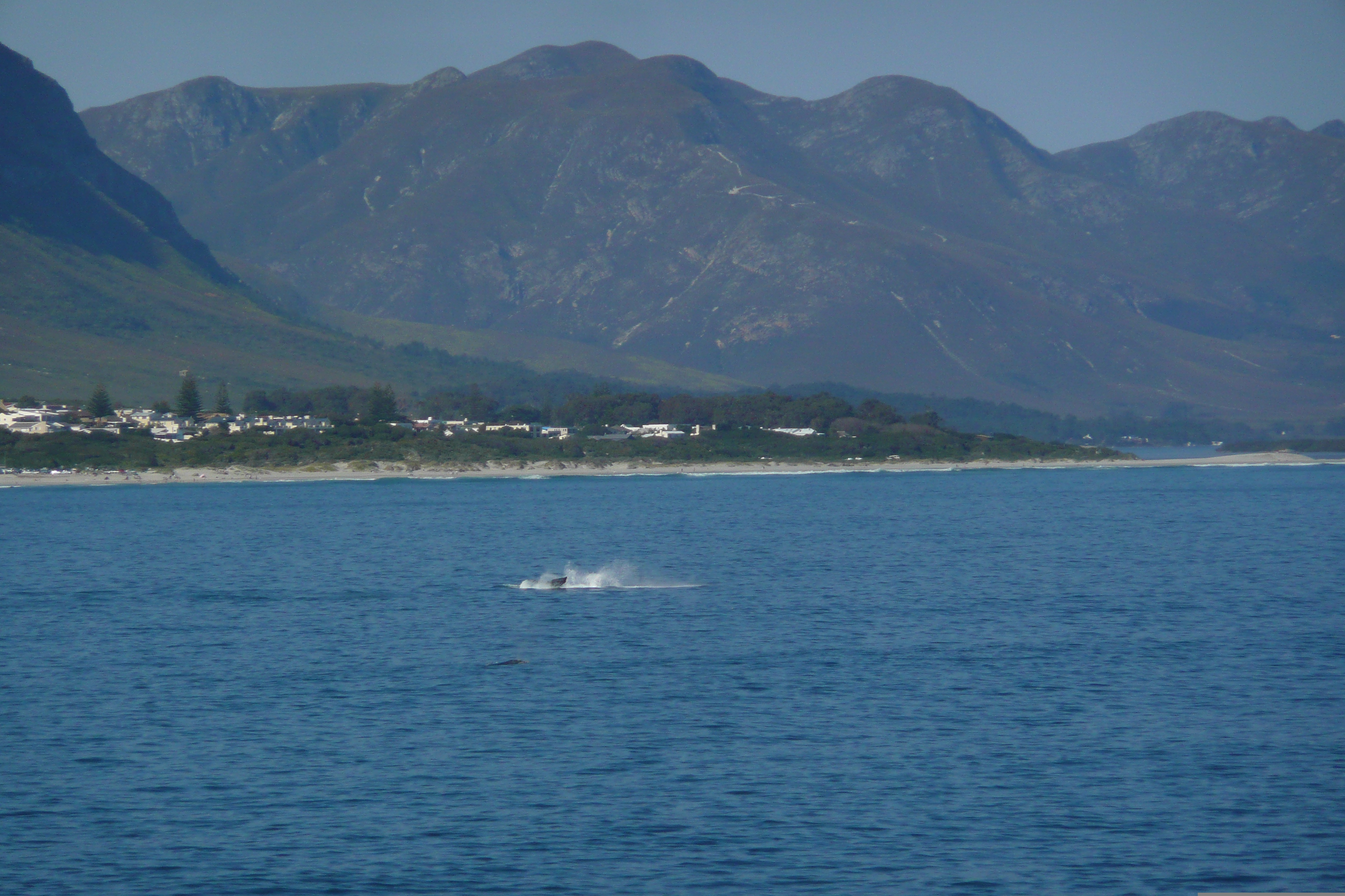 Picture South Africa Harmanus 2008-09 157 - Journey Harmanus