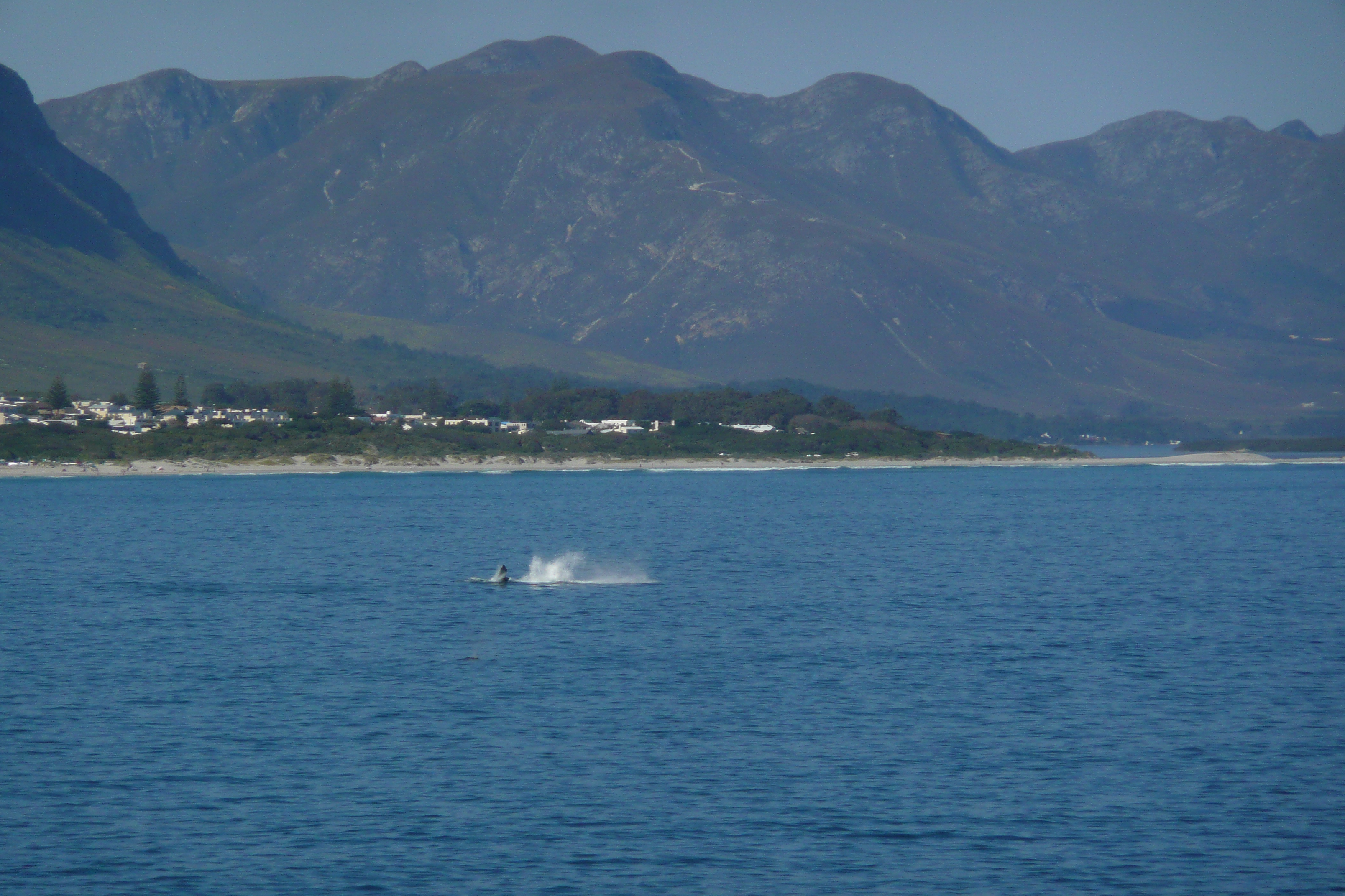 Picture South Africa Harmanus 2008-09 173 - Tours Harmanus