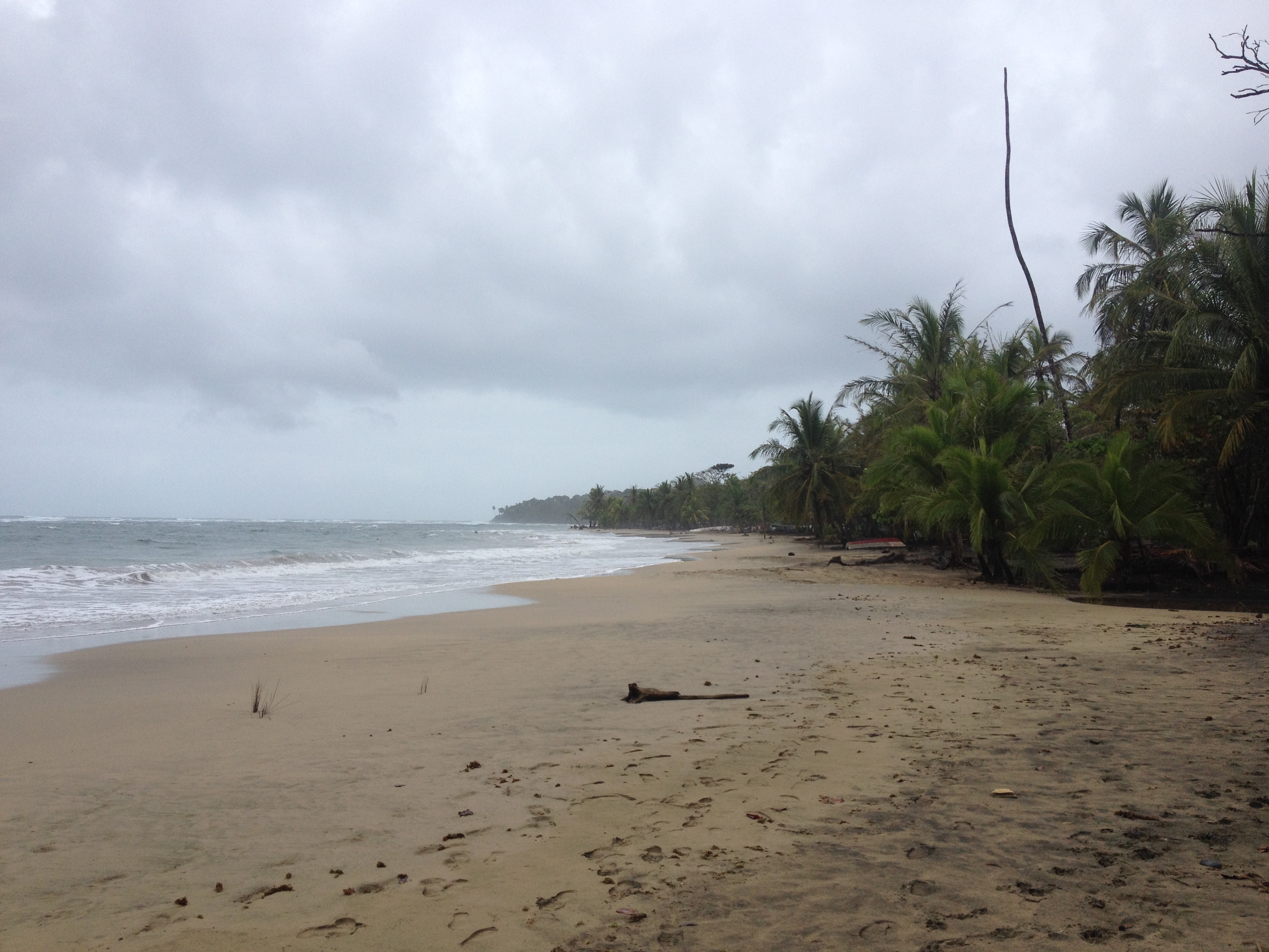 Picture Costa Rica Puerto Viejo de Talamanca 2015-03 62 - Journey Puerto Viejo de Talamanca