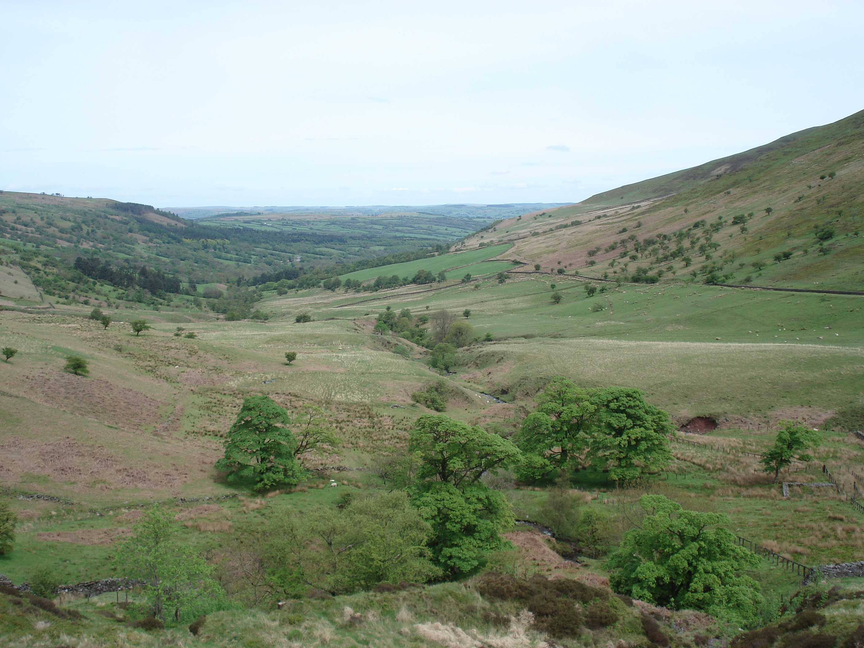 Picture United Kingdom Brecon Beacons National Parc 2006-05 91 - Around Brecon Beacons National Parc