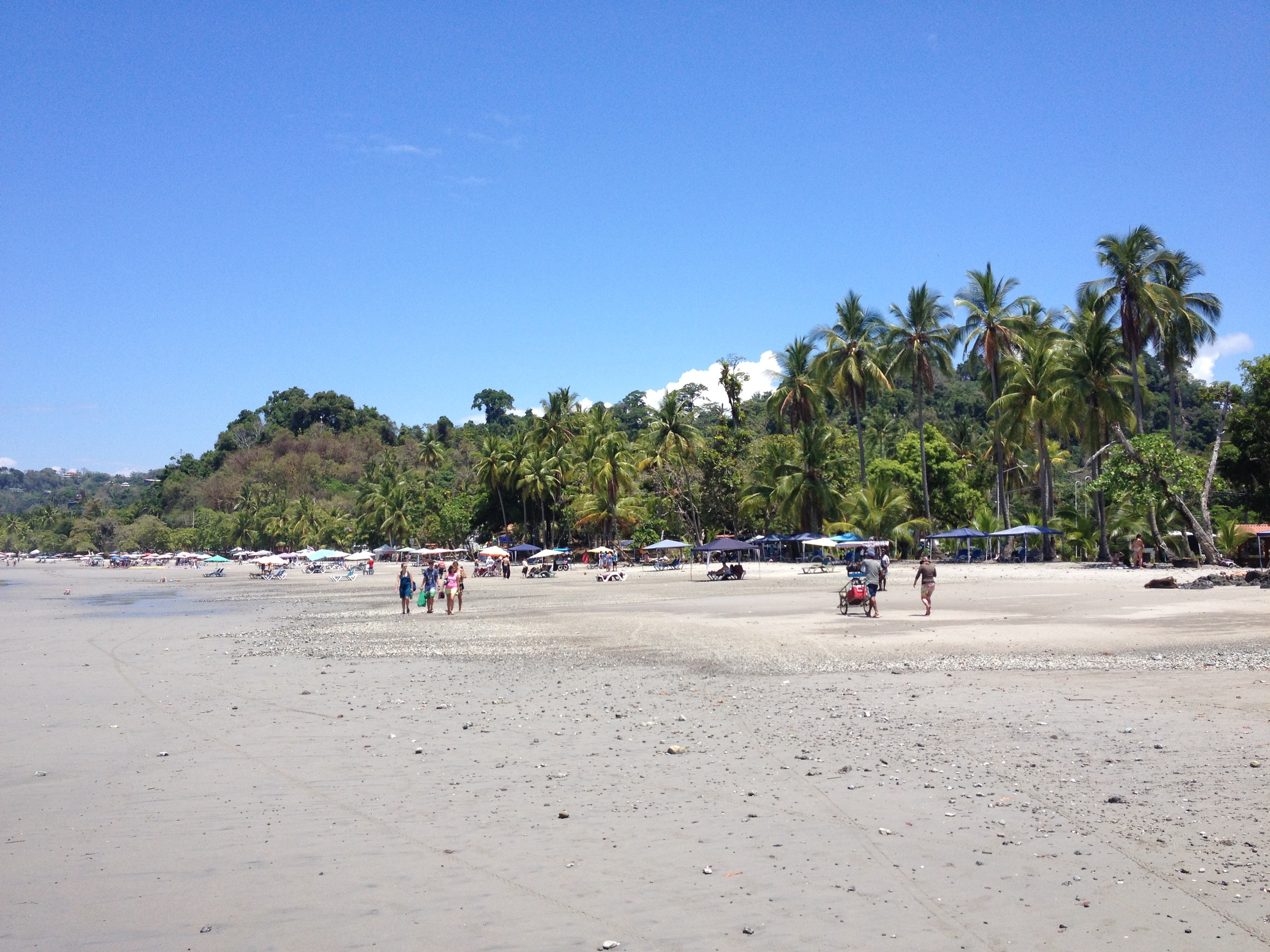 Picture Costa Rica Manuel Antonio 2015-03 439 - Discovery Manuel Antonio