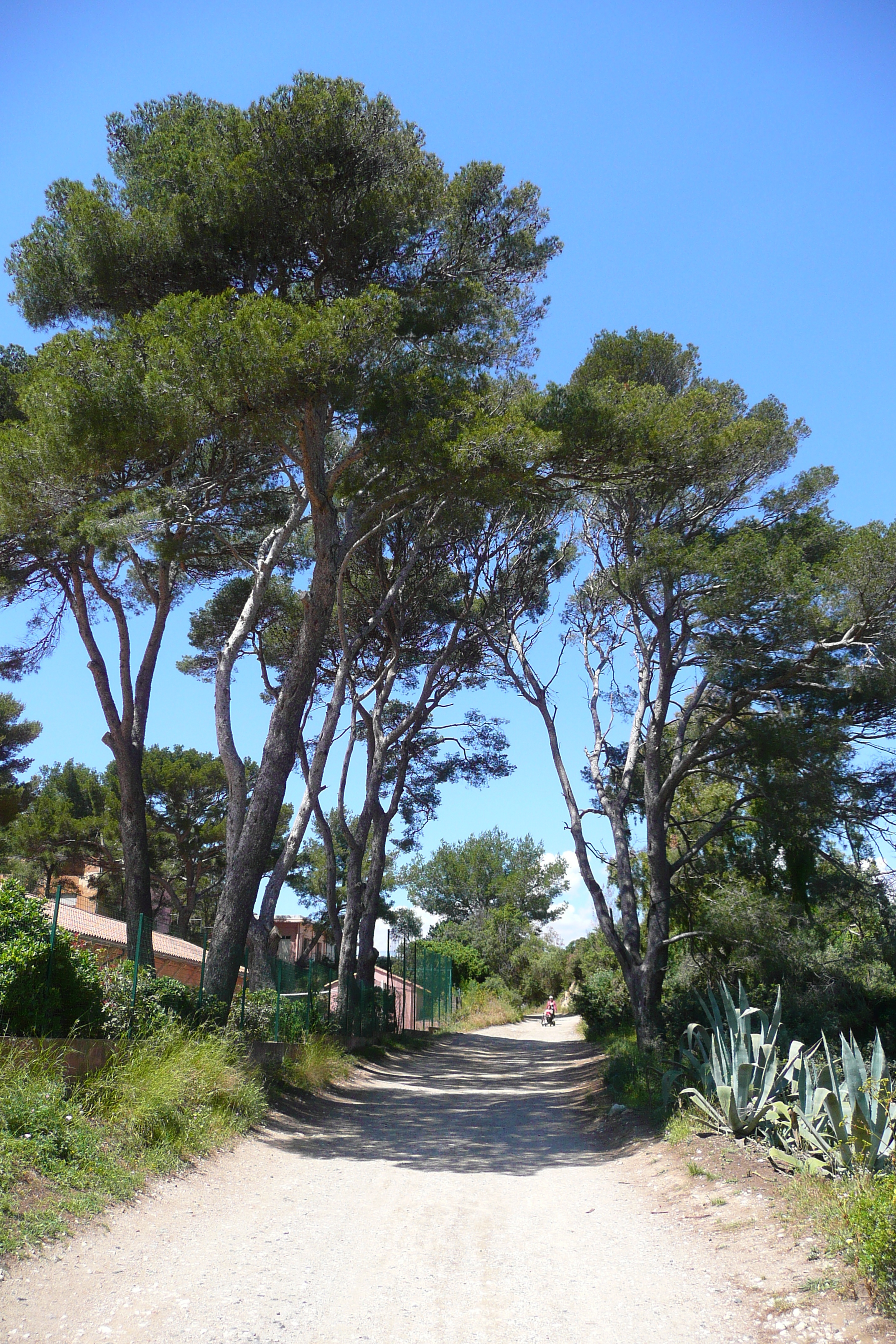 Picture France Porquerolles Island Pointe Bearlieu 2008-05 0 - Discovery Pointe Bearlieu