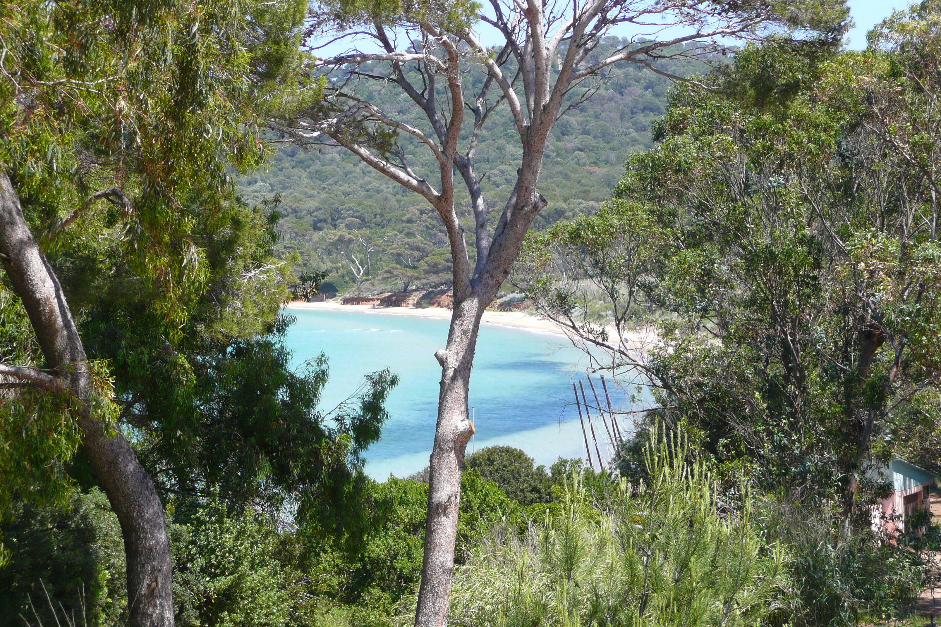 Picture France Porquerolles Island Pointe Bearlieu 2008-05 1 - Journey Pointe Bearlieu