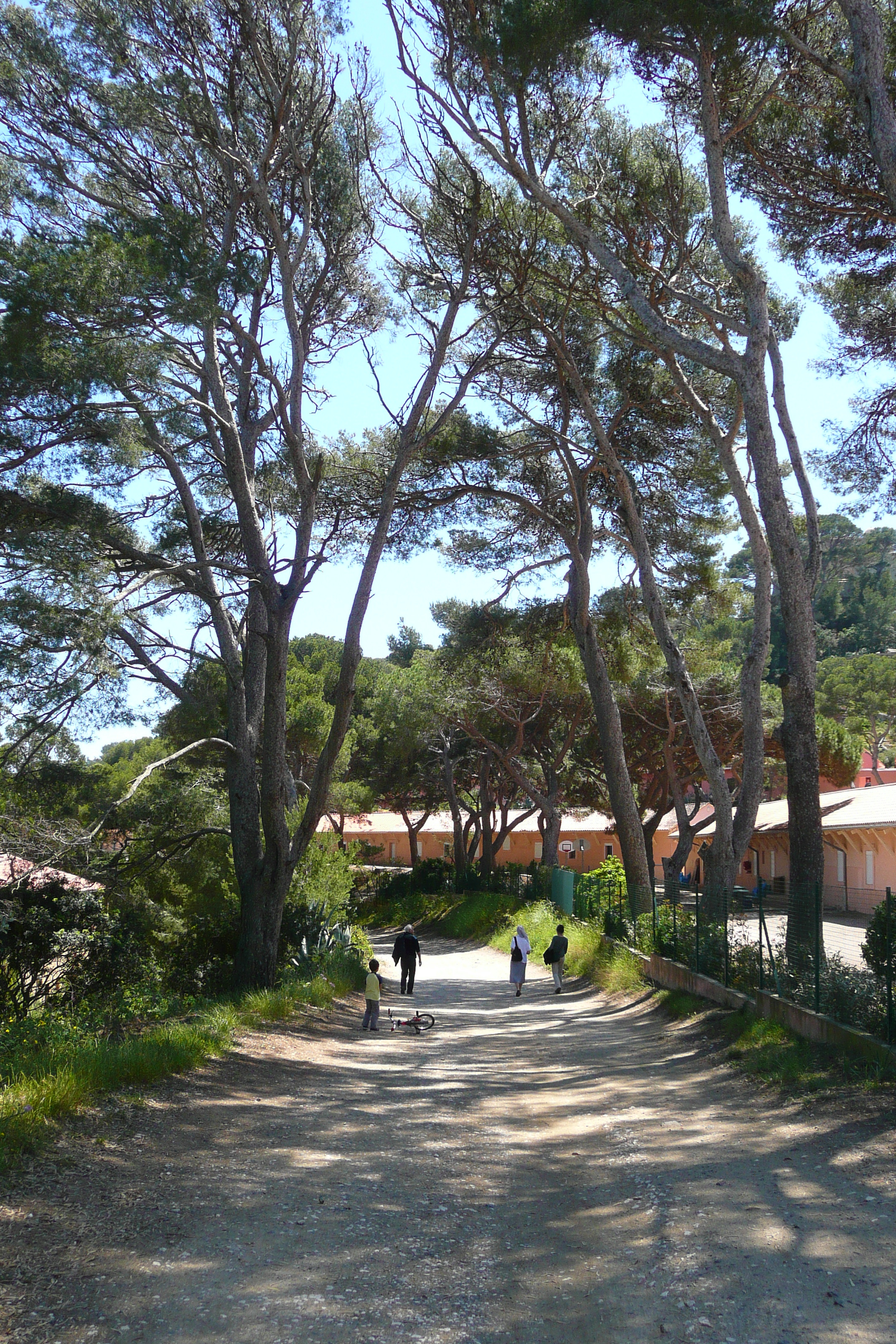 Picture France Porquerolles Island Pointe Bearlieu 2008-05 9 - Around Pointe Bearlieu