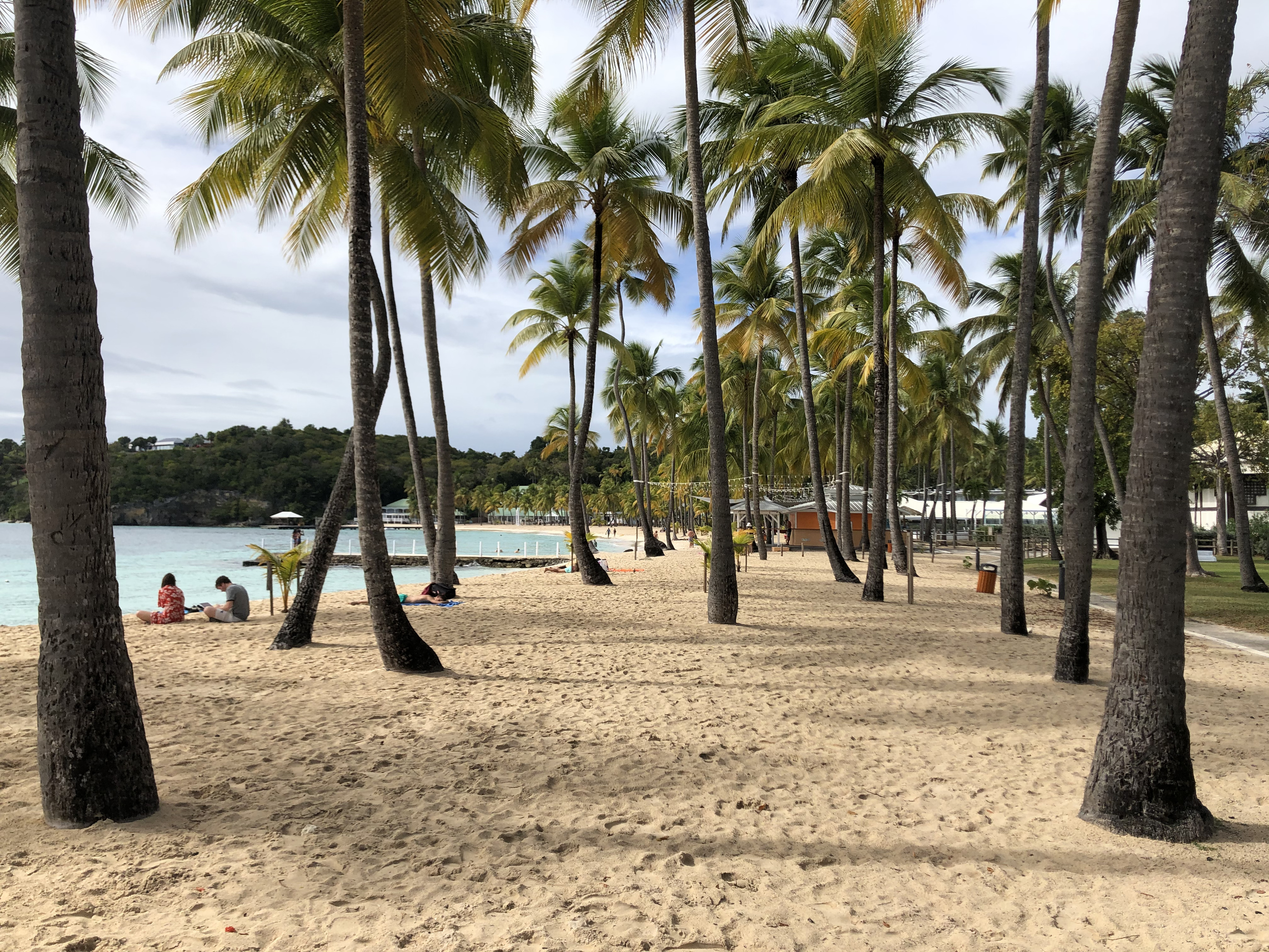 Picture Guadeloupe La Caravelle Beach 2021-02 128 - Tour La Caravelle Beach