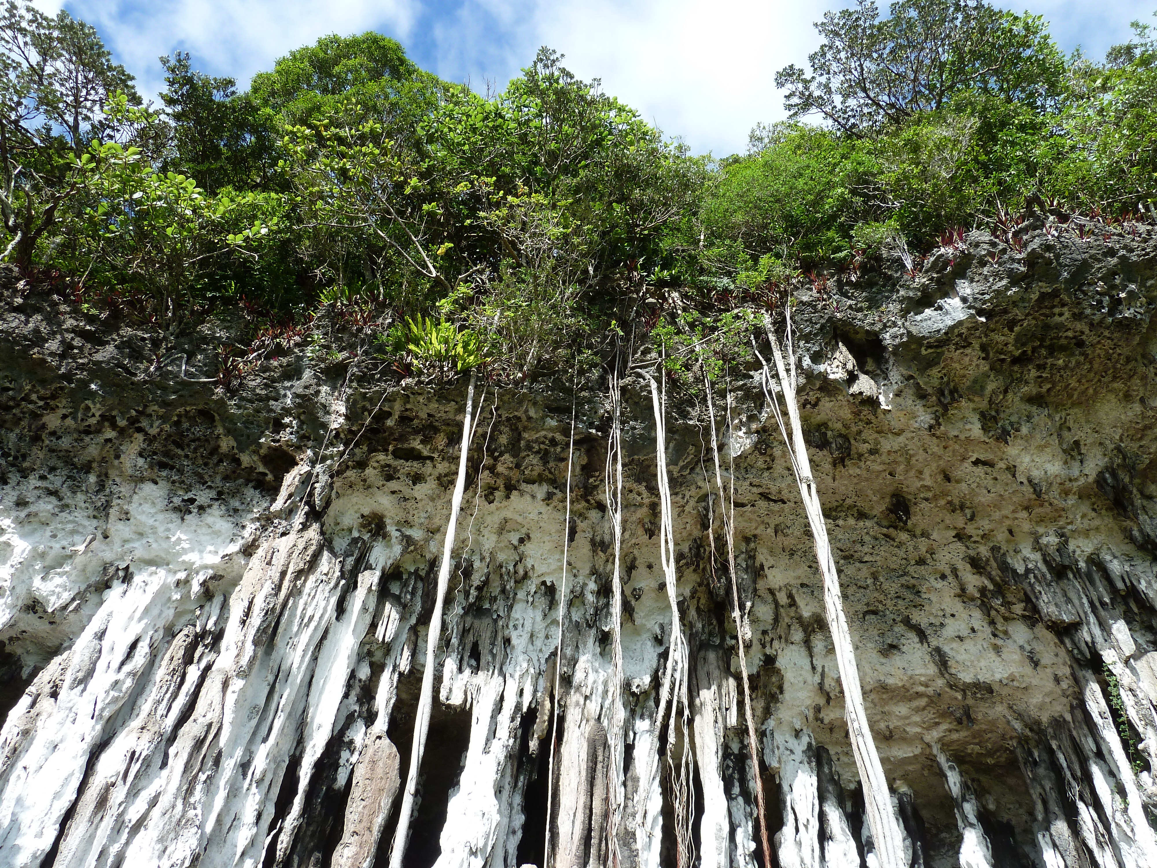 Picture New Caledonia Lifou Josip 2010-05 9 - Tour Josip