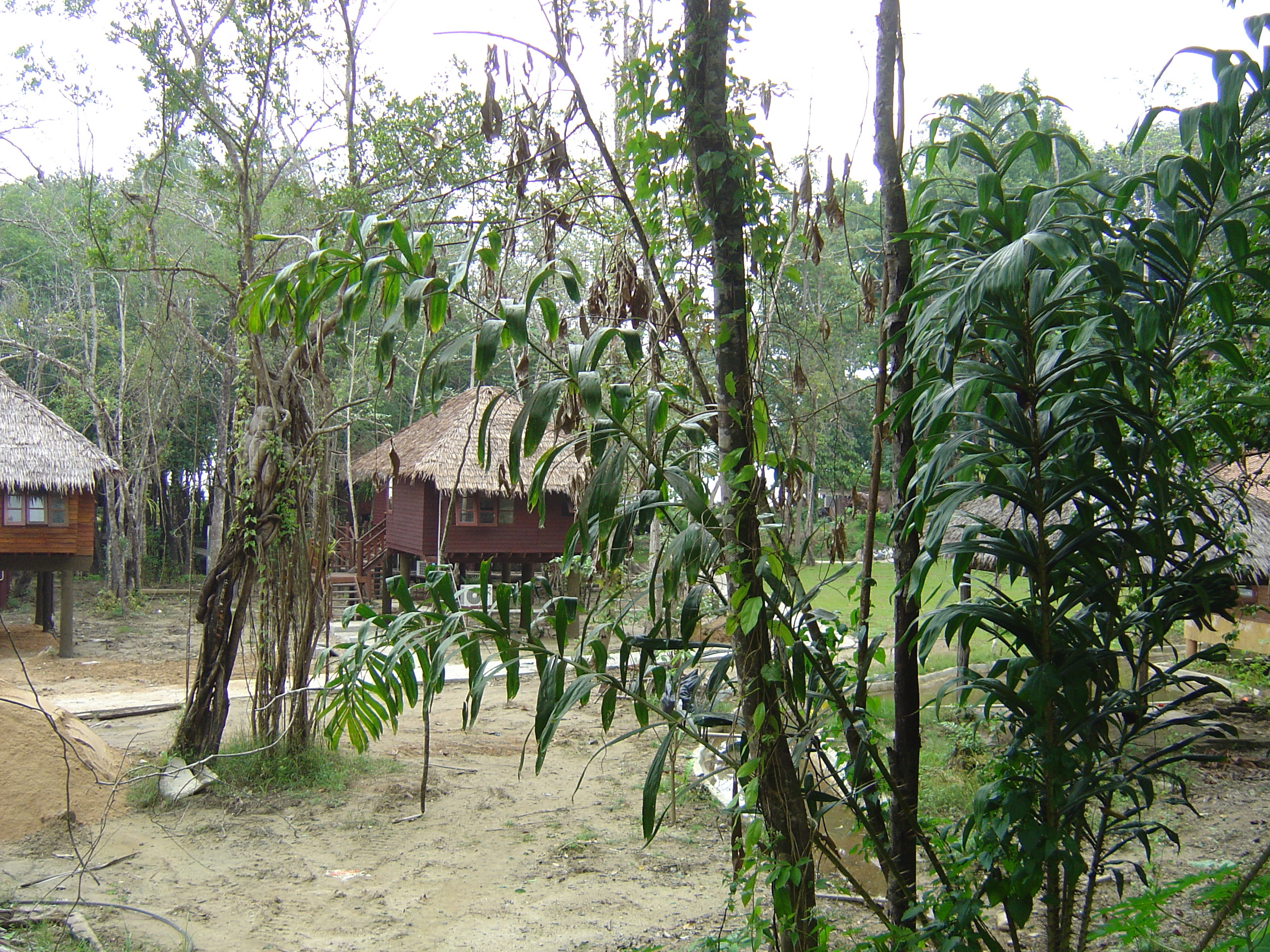 Picture Thailand Khao Lak Similana Hotel 2005-12 11 - History Similana Hotel