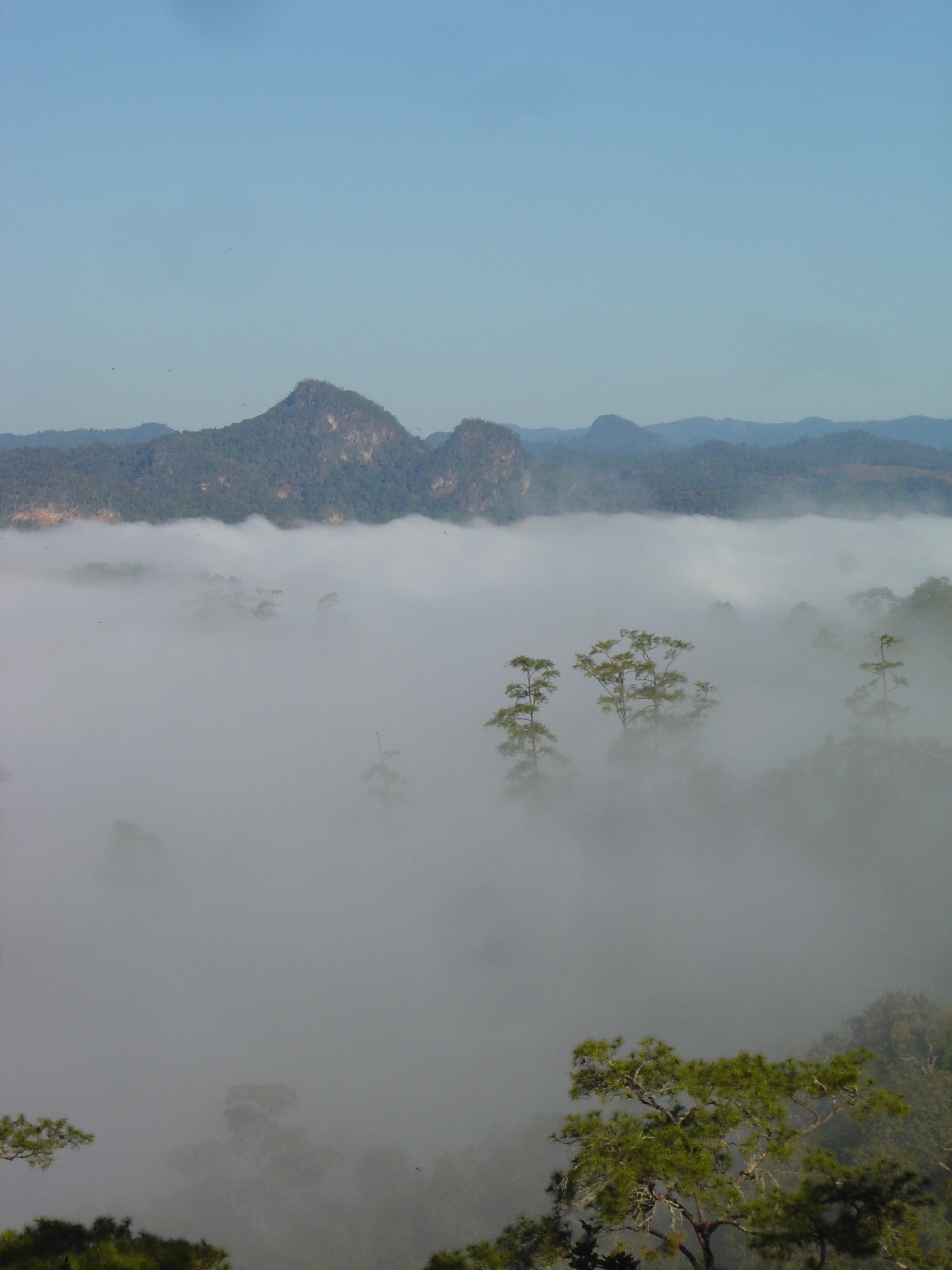 Picture Thailand Pang ma pha 2005-12 202 - Tours Pang ma pha