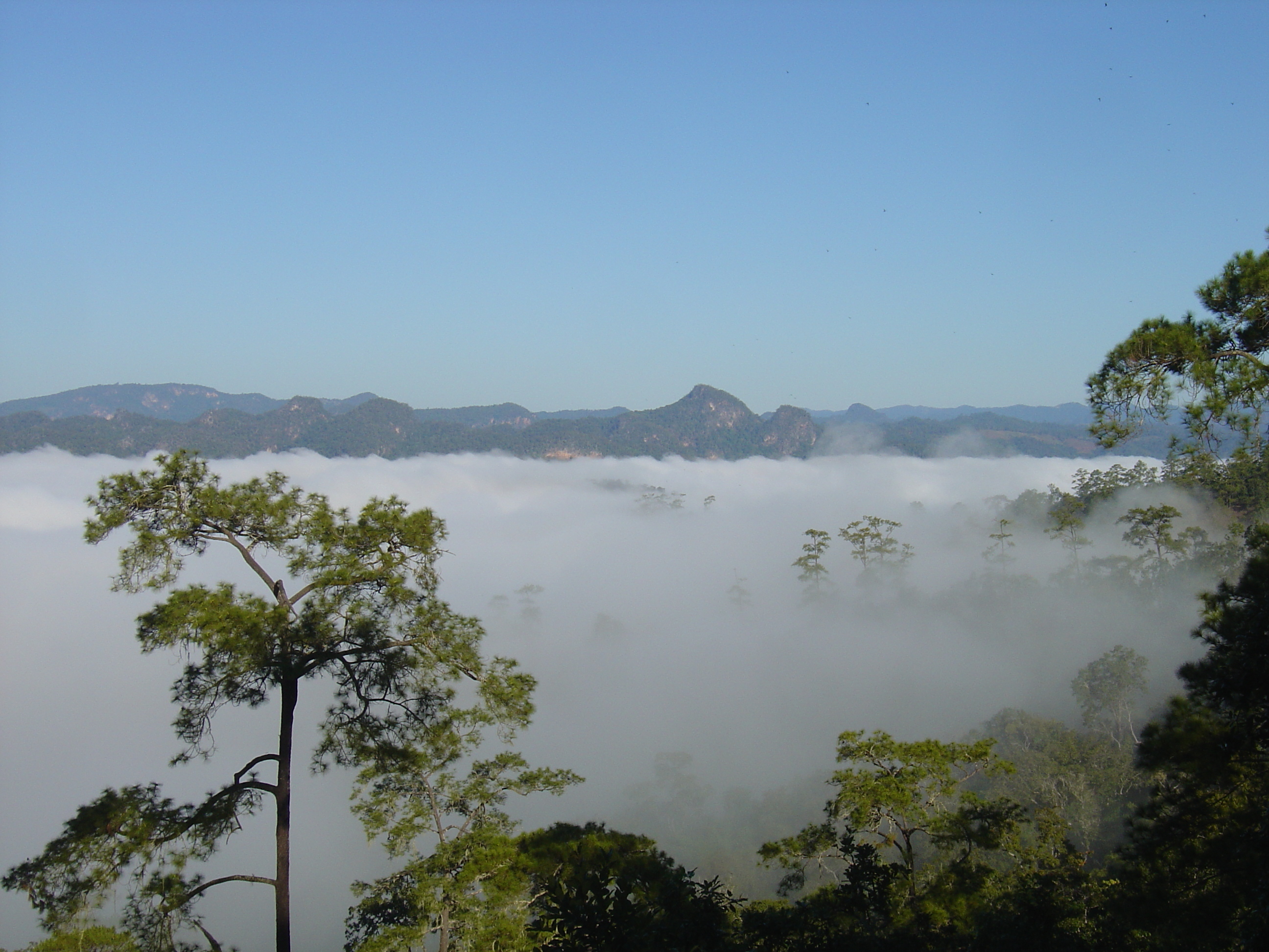 Picture Thailand Pang ma pha 2005-12 205 - History Pang ma pha