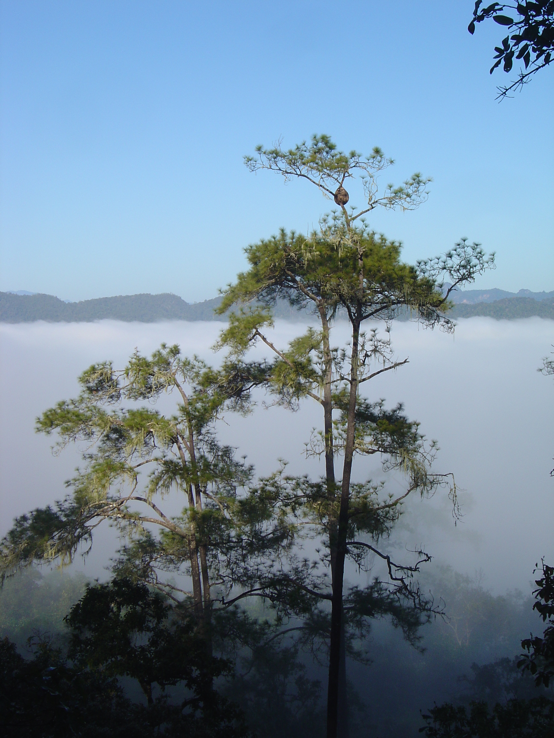 Picture Thailand Pang ma pha 2005-12 191 - History Pang ma pha