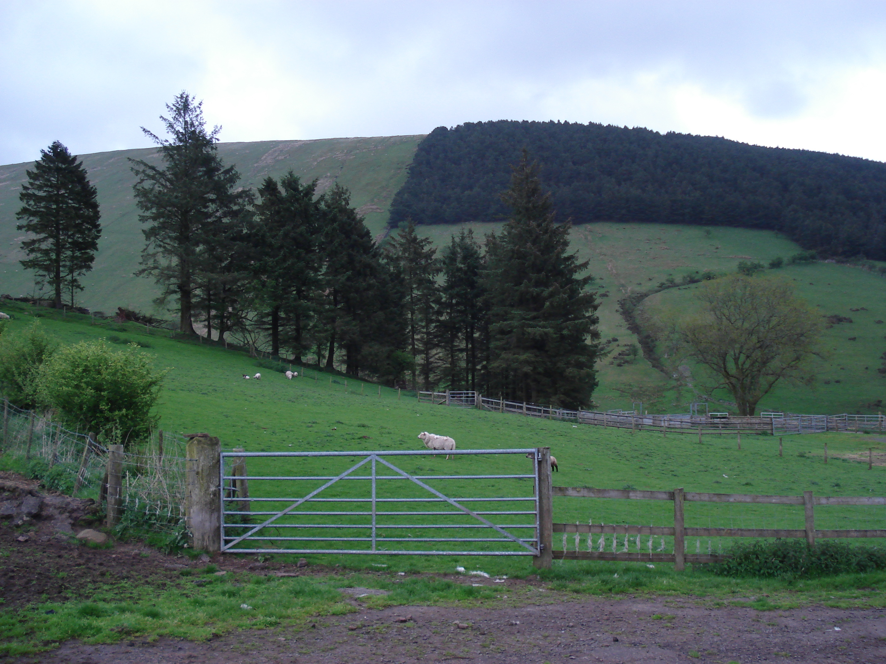 Picture United Kingdom Brecon Beacons National Parc 2006-05 84 - Tours Brecon Beacons National Parc