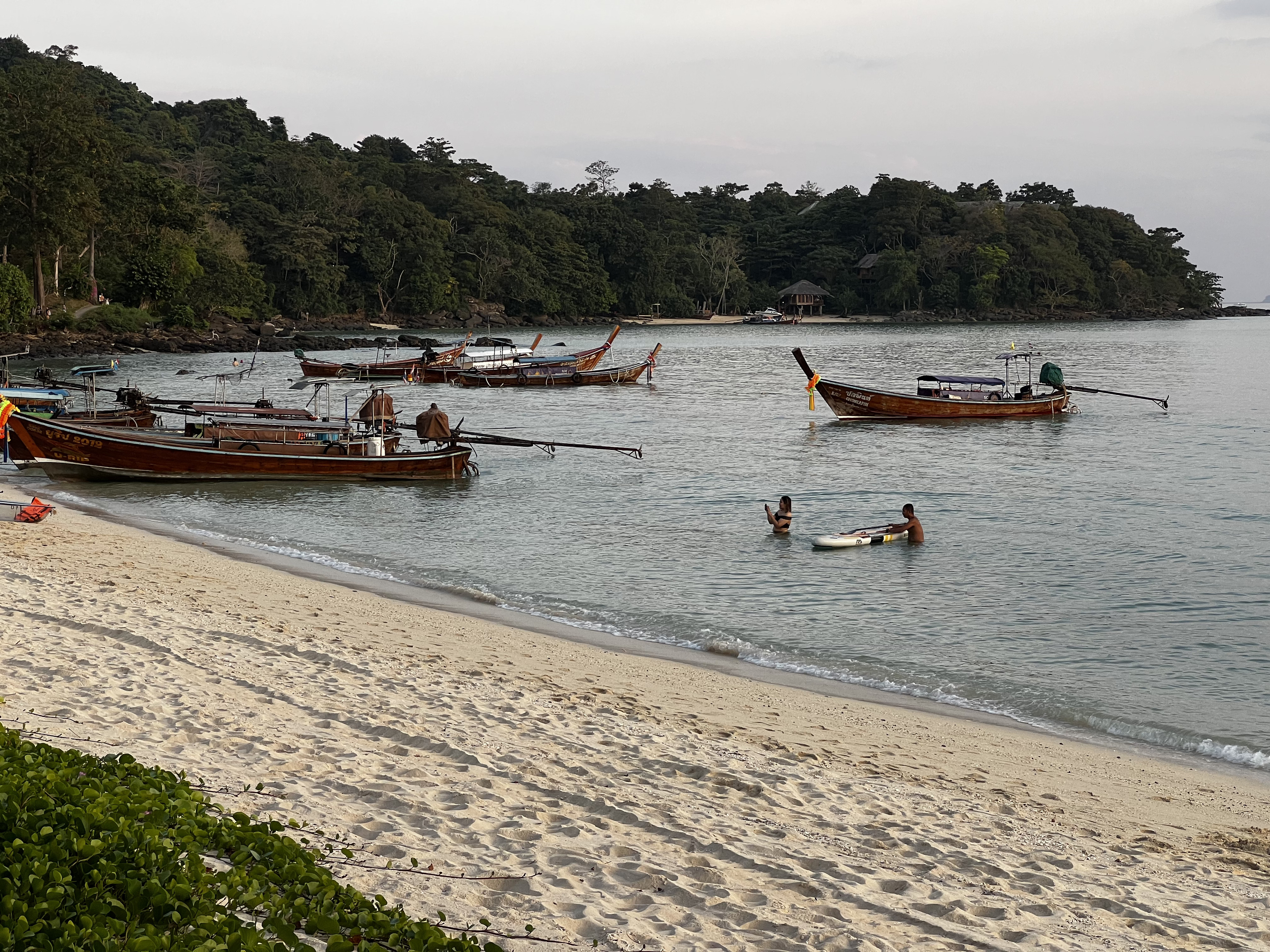 Picture Thailand Ko Phi Phi Don 2021-12 69 - Discovery Ko Phi Phi Don