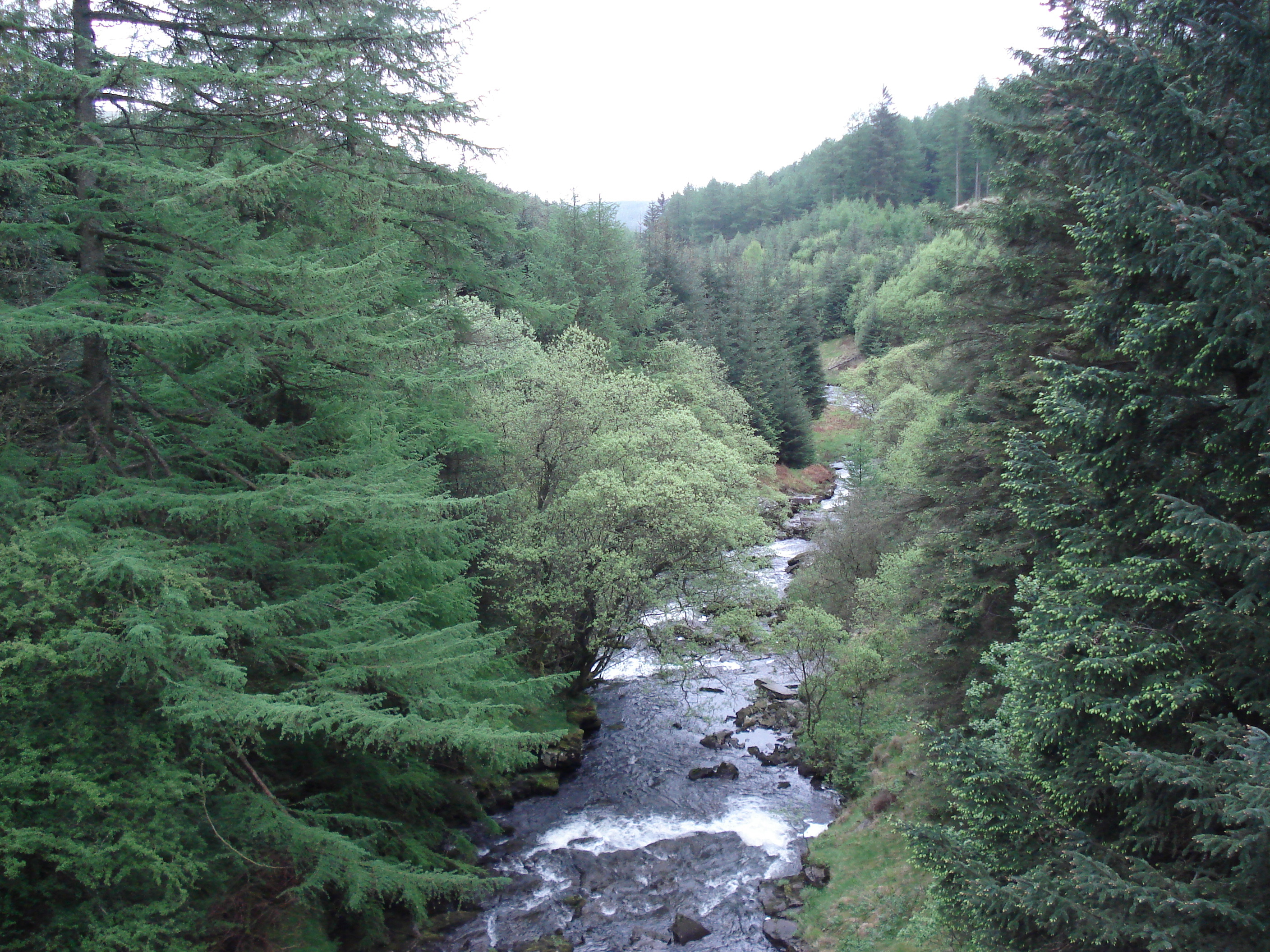 Picture United Kingdom Brecon Beacons National Parc 2006-05 73 - Tour Brecon Beacons National Parc