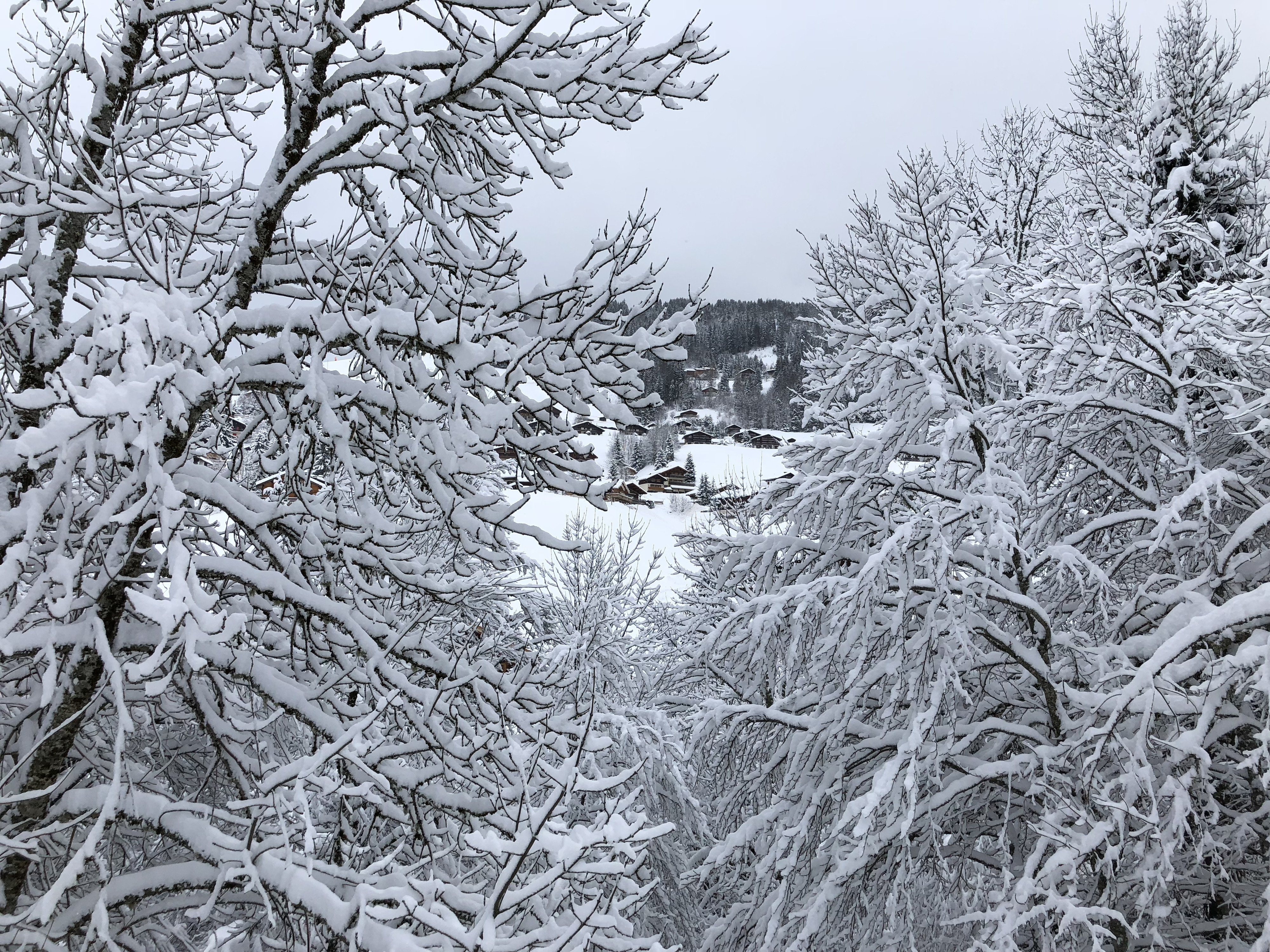 Picture France La Clusaz 2017-12 82 - History La Clusaz