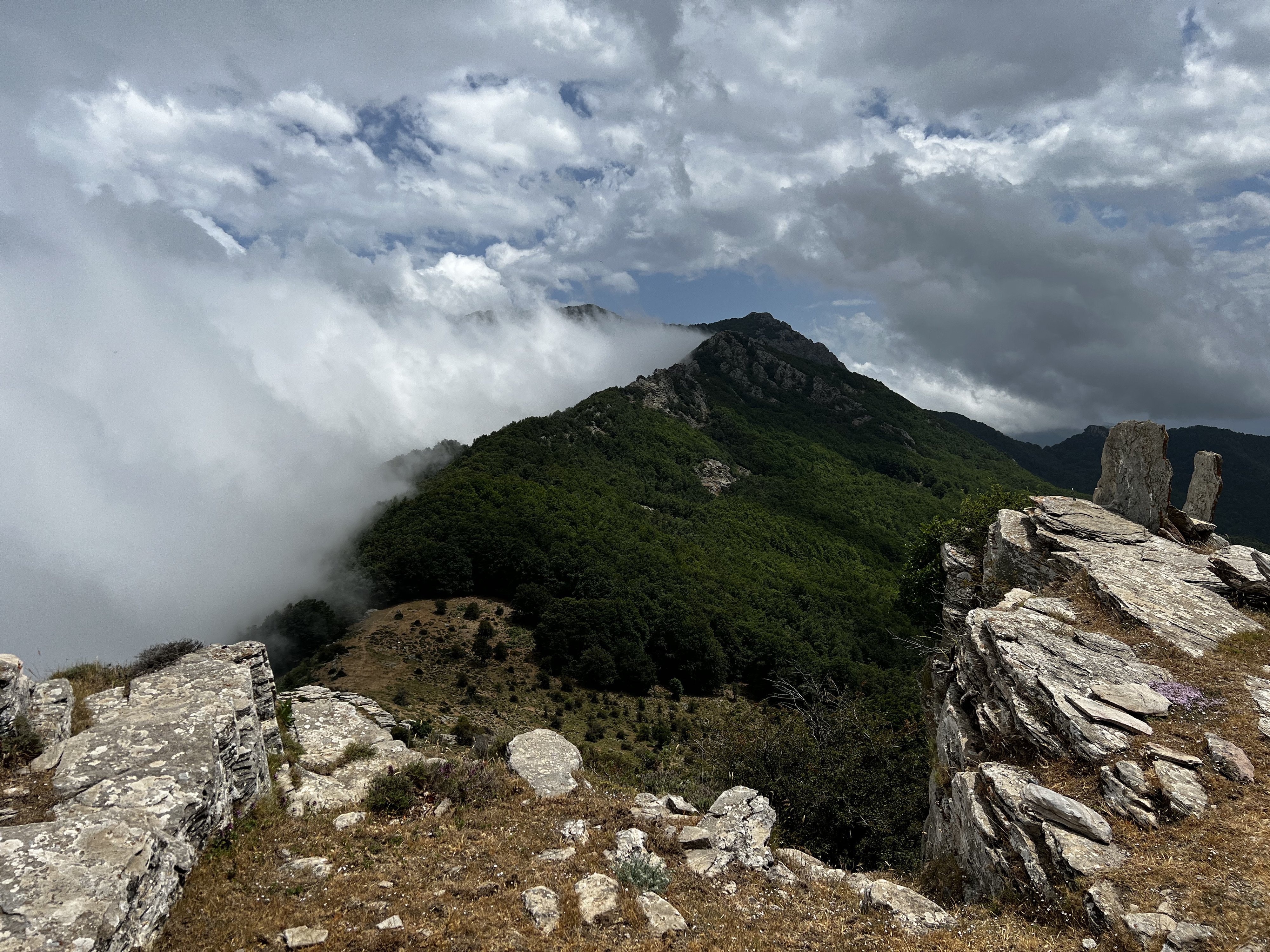 Picture France Corsica Refuge de Callerucciu 2022-06 18 - Around Refuge de Callerucciu