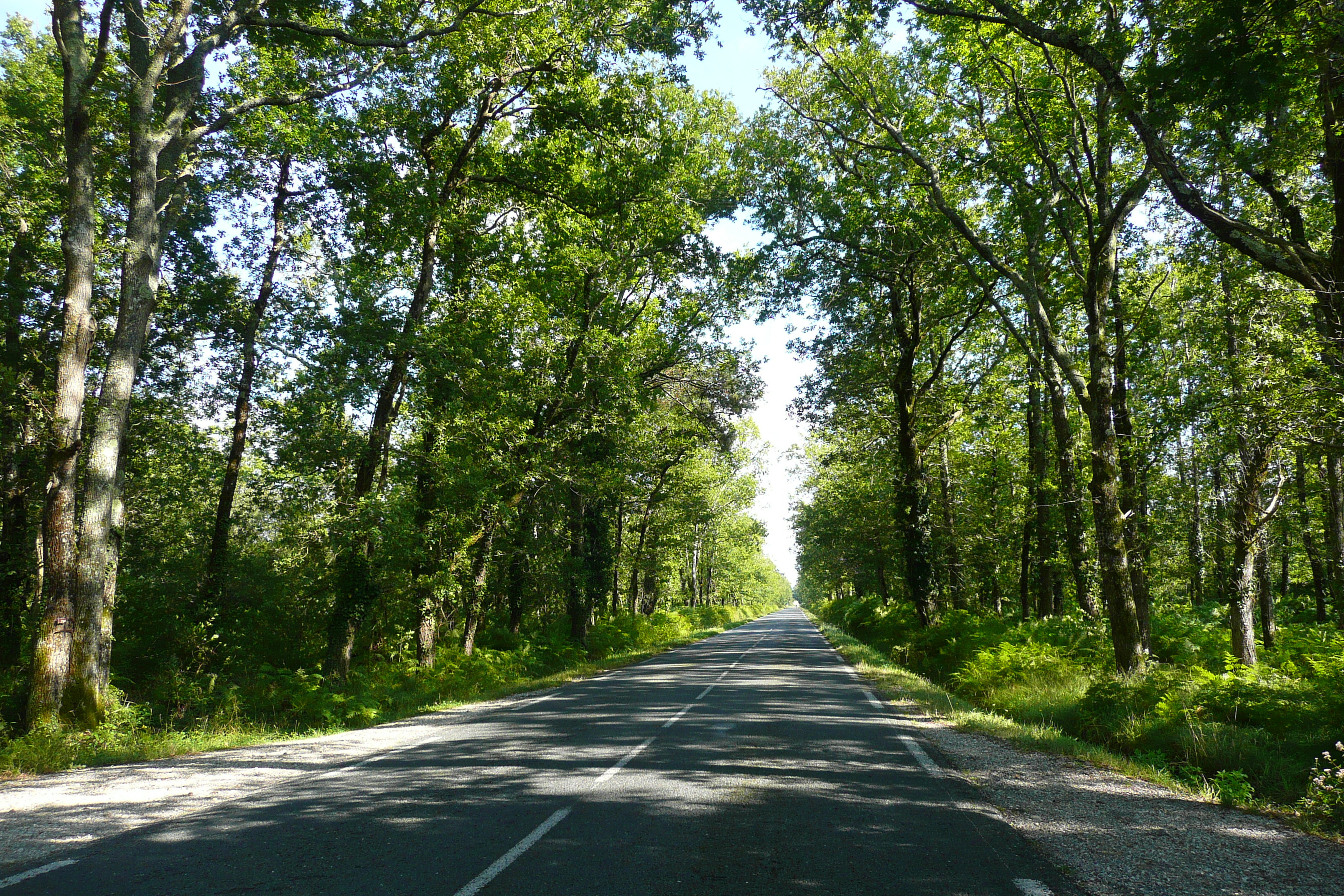 Picture France Gironde lakes road 2007-08 3 - History Gironde lakes road