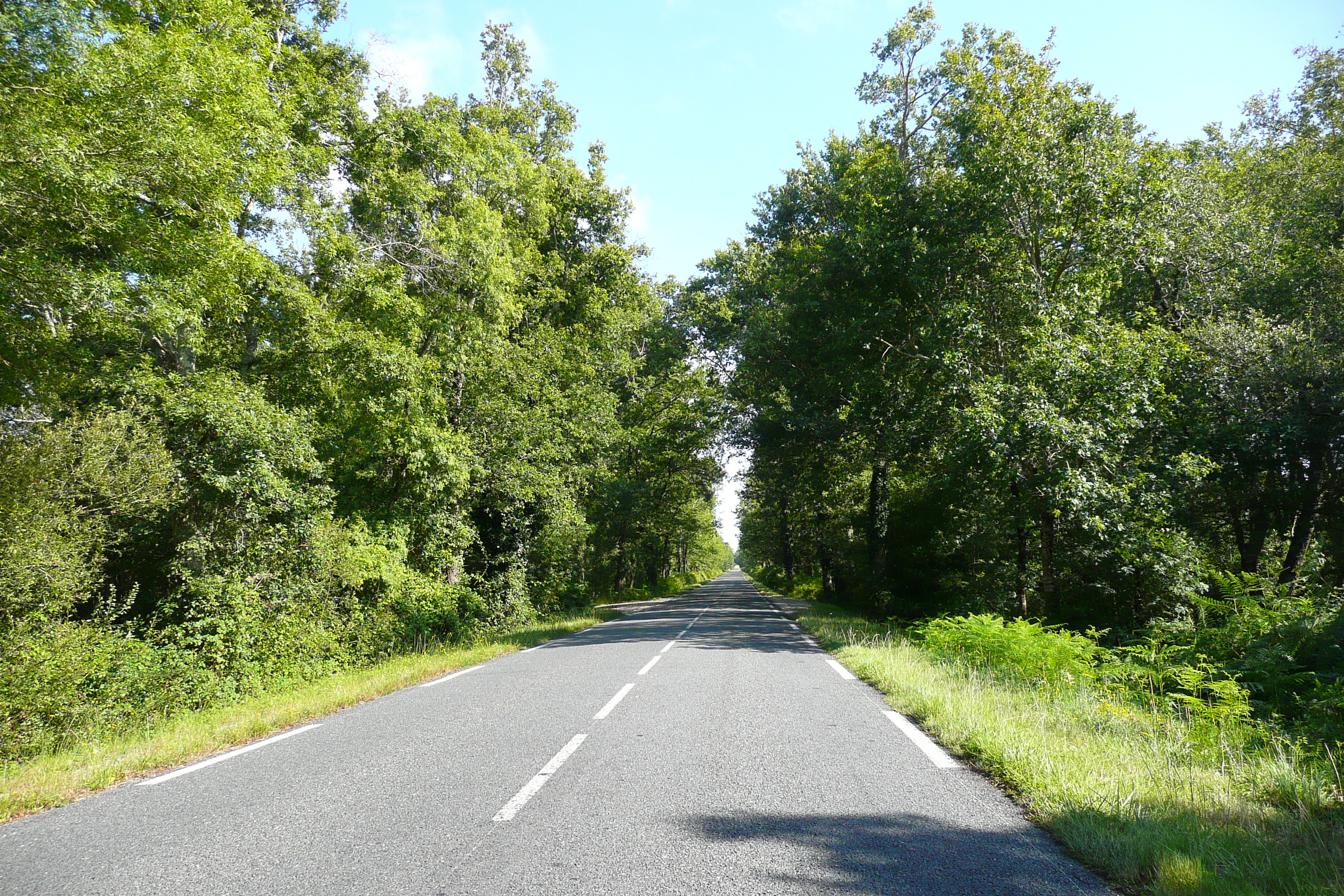 Picture France Gironde lakes road 2007-08 2 - Tour Gironde lakes road