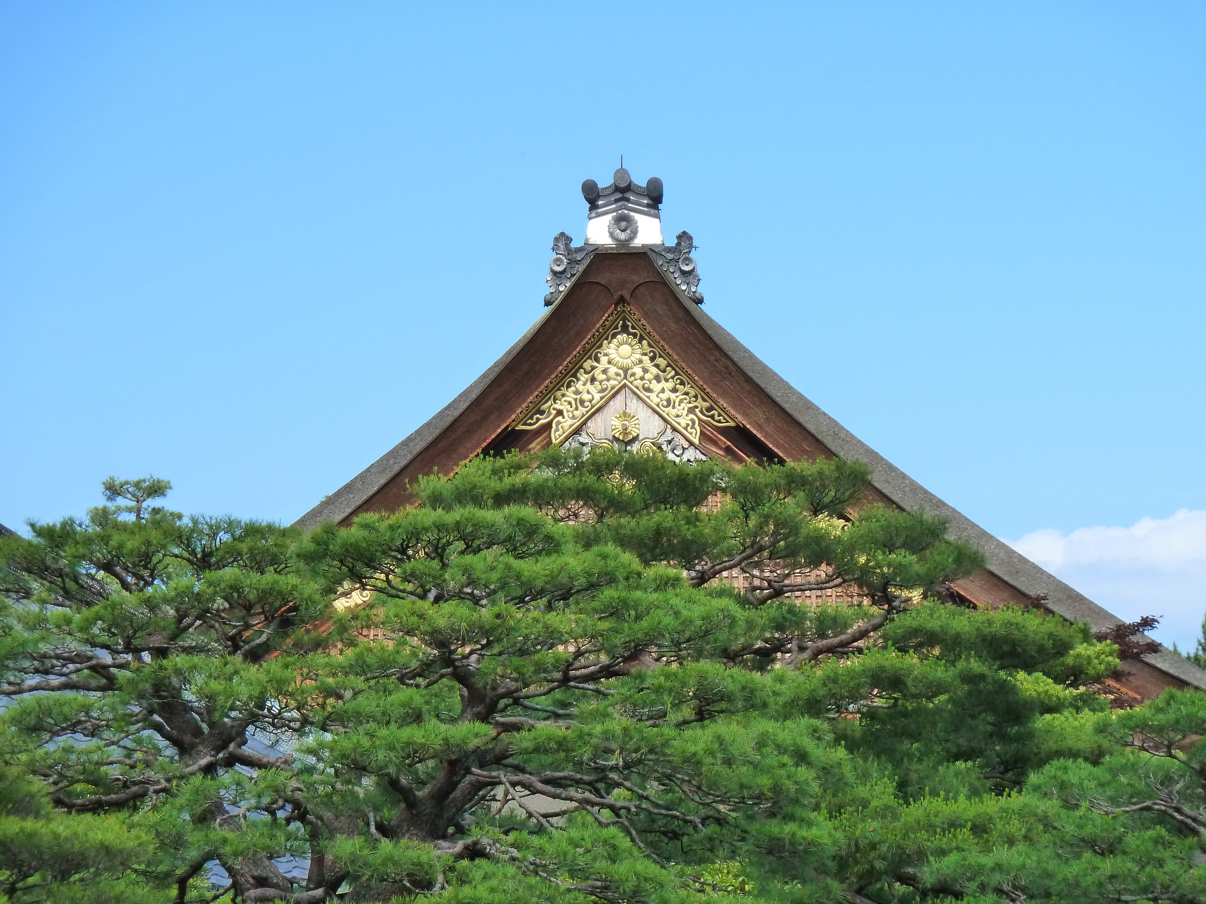 Picture Japan Kyoto Kyoto Imperial Palace 2010-06 124 - Discovery Kyoto Imperial Palace