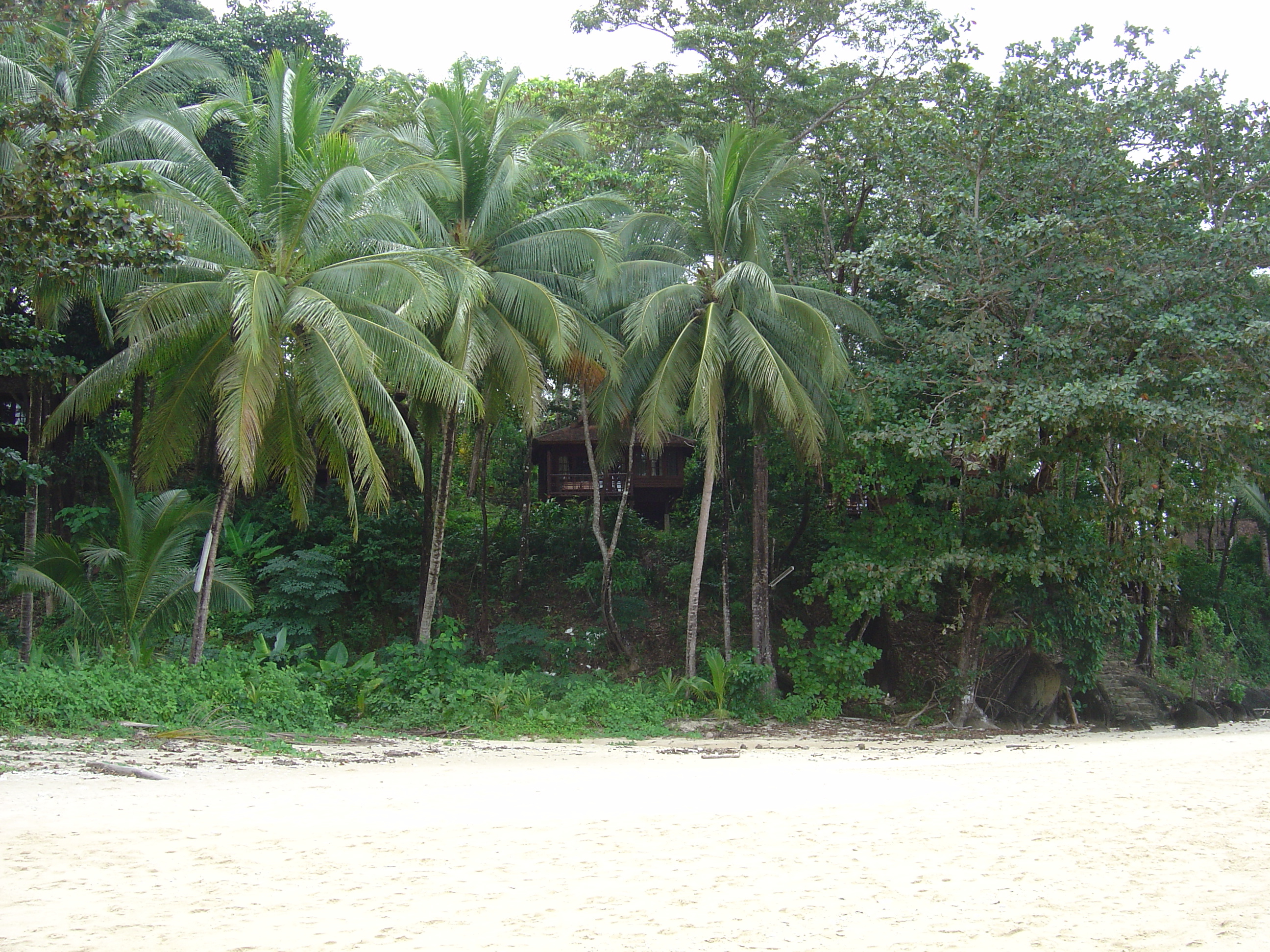 Picture Thailand Khao Lak Bang Sak Beach 2005-12 7 - Journey Bang Sak Beach