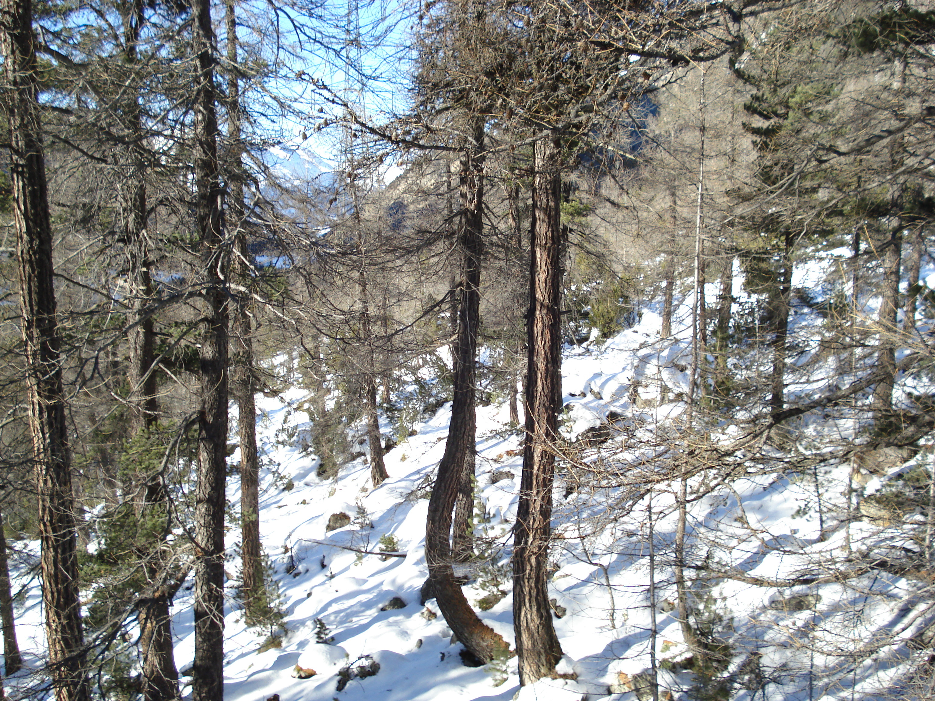 Picture Swiss From Pontresina to Lago Bianco 2007-01 8 - Center From Pontresina to Lago Bianco