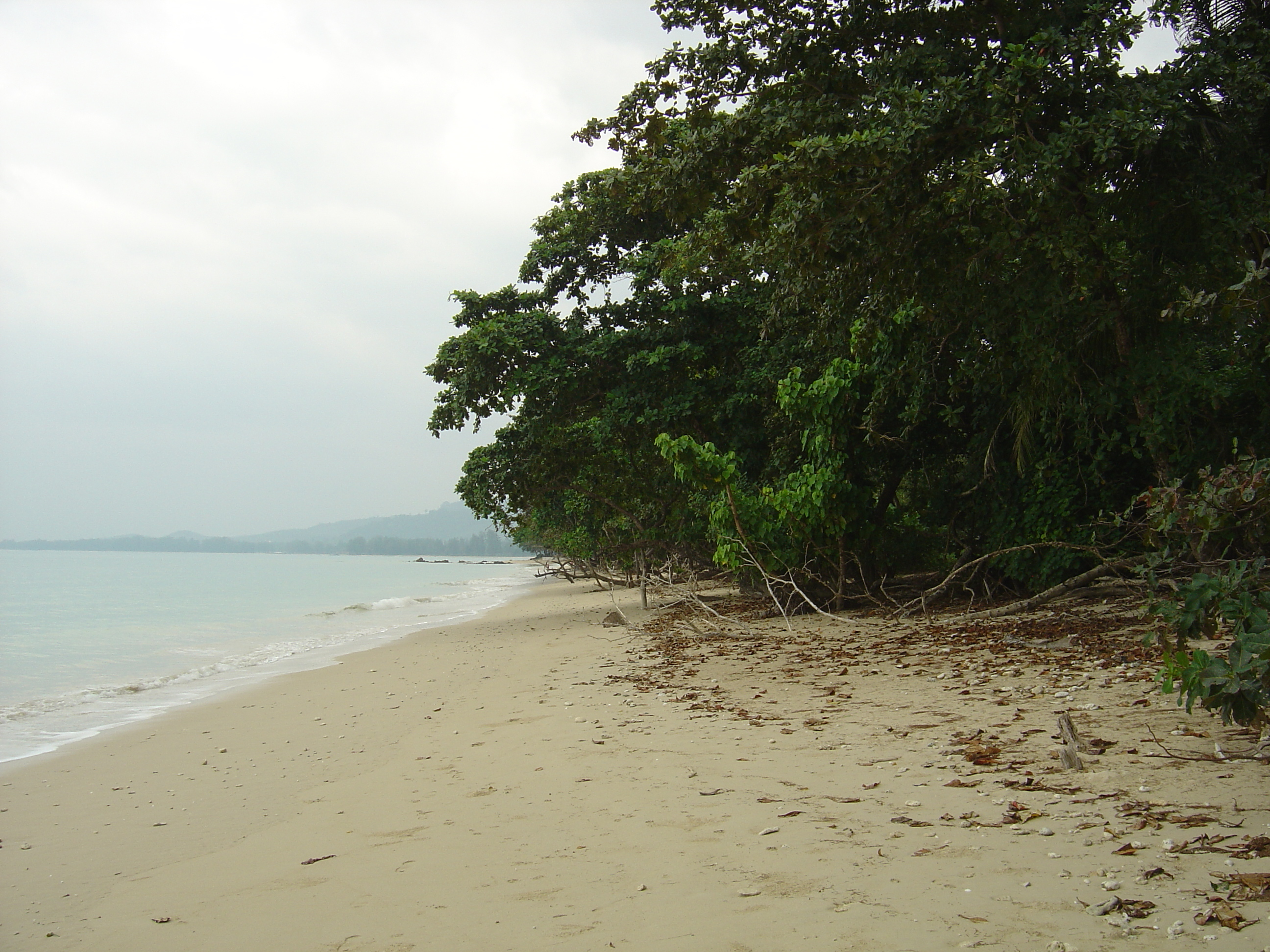 Picture Thailand Khao Lak Bang Sak Beach 2005-12 22 - Discovery Bang Sak Beach